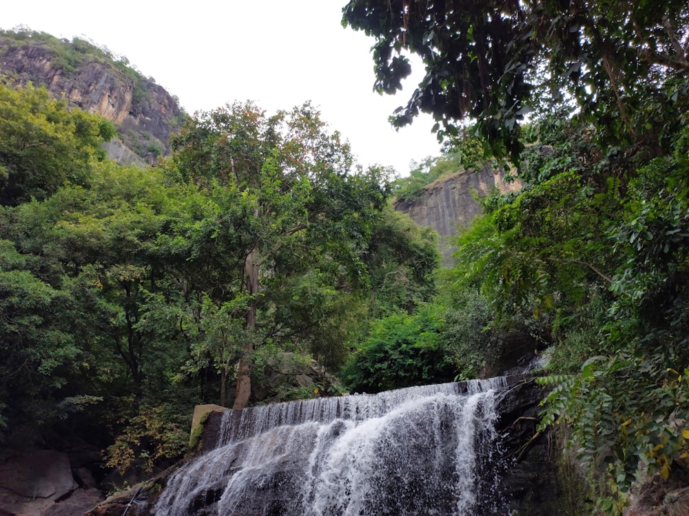 a waterfall in a forest