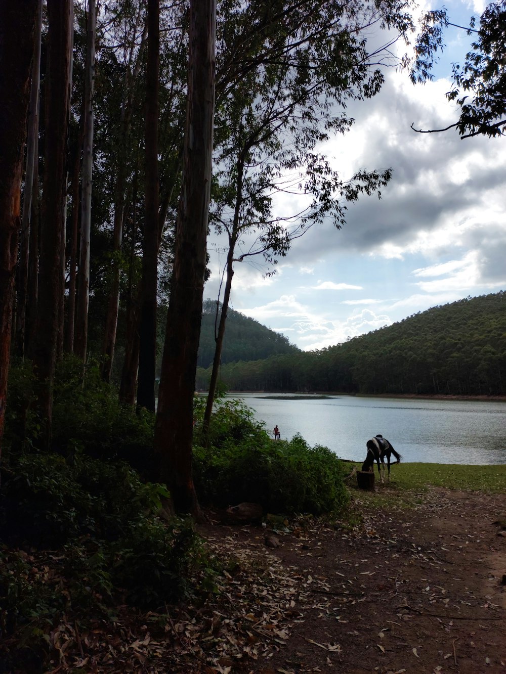 a person sitting in a chair by a lake