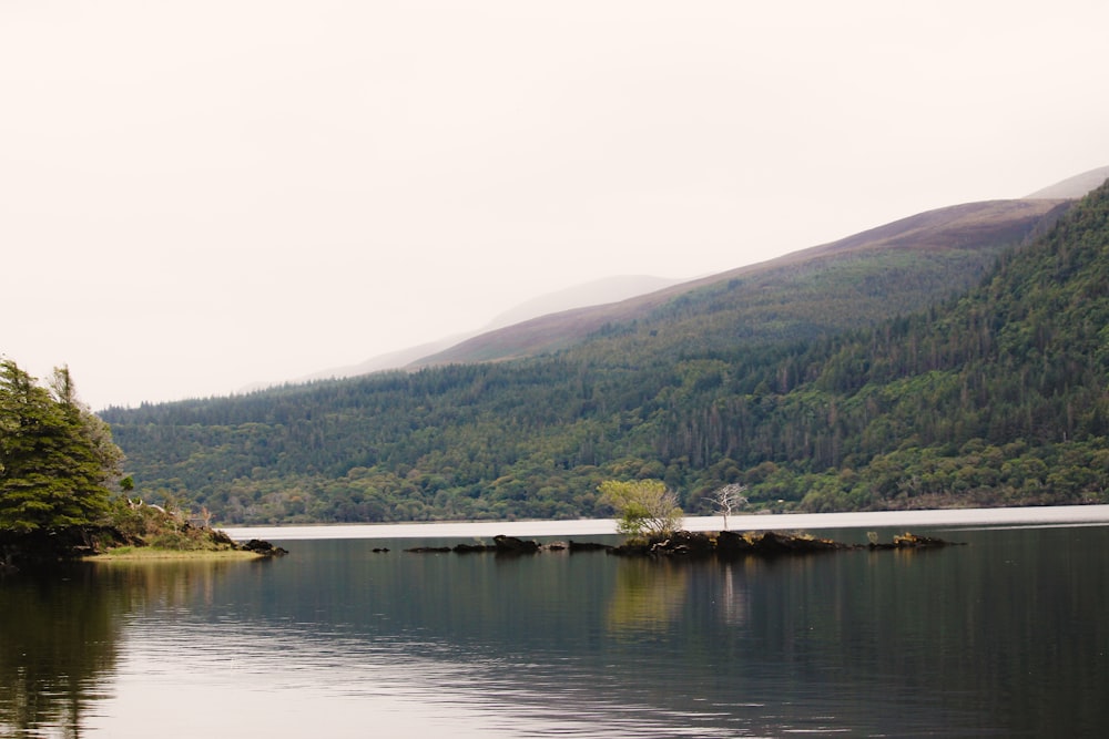 a body of water with trees and hills in the background