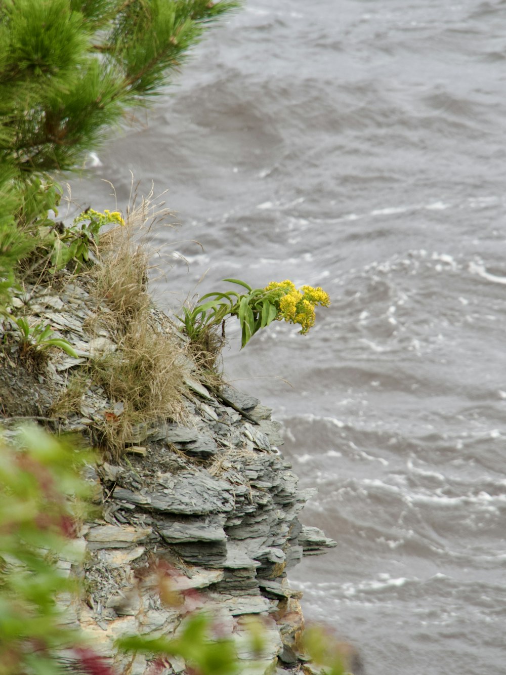 a tree stump with yellow flowers