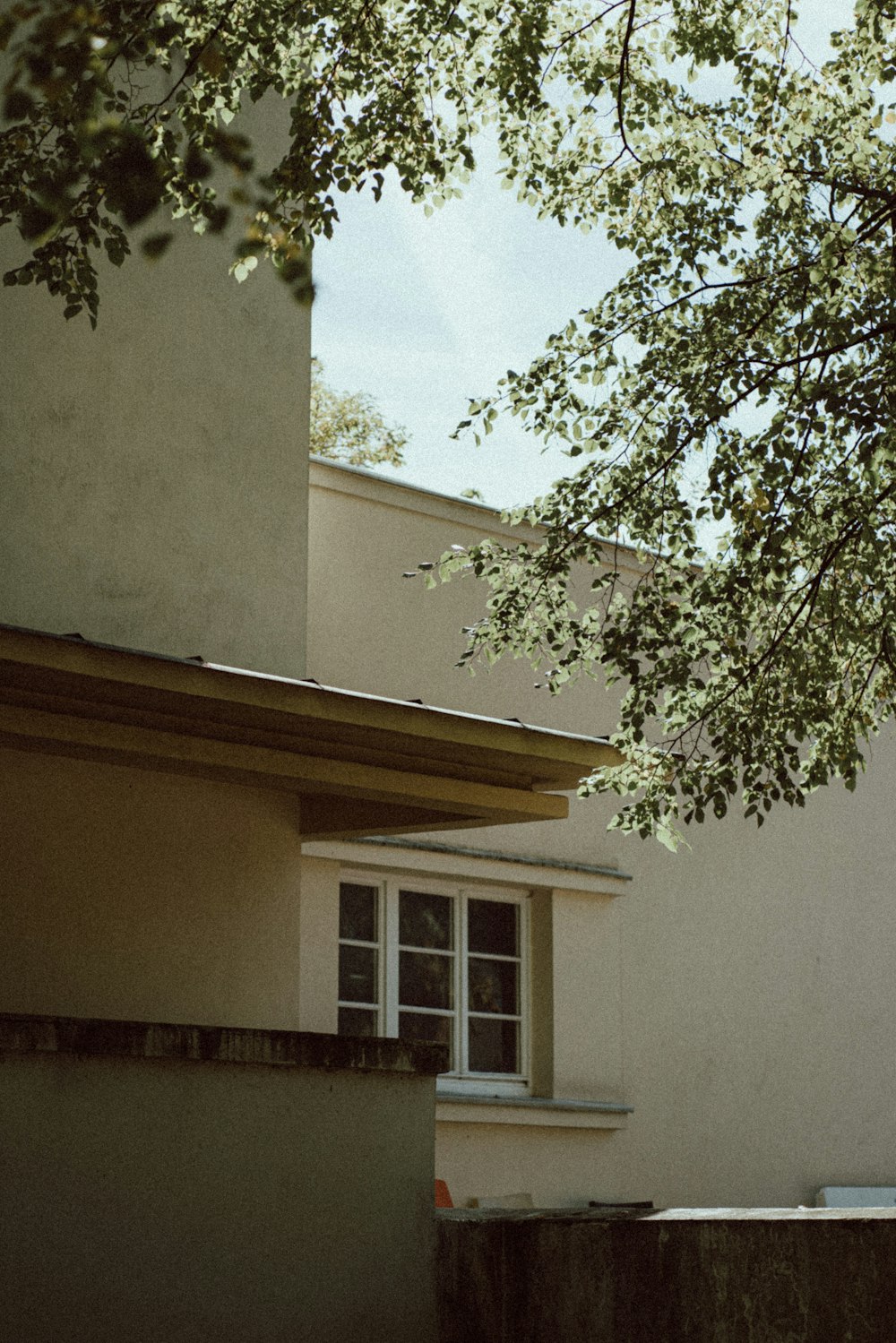 a house with a tree in the front