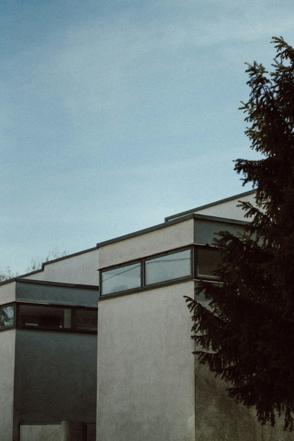 a building with a tree in front of it