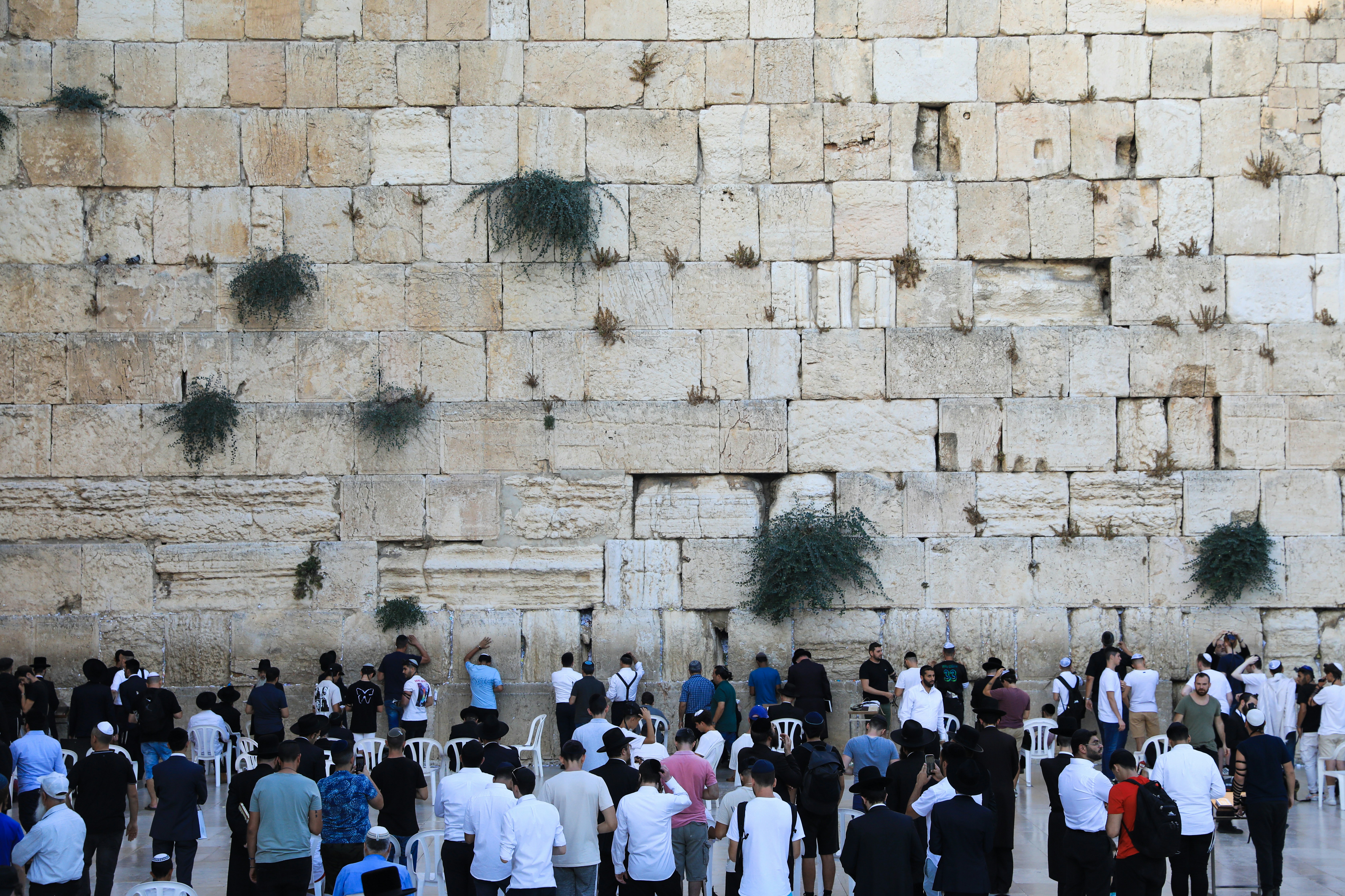 People at rock wall with Western Wall