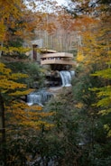 A modern architectural structure, blending harmoniously with its natural surroundings, is perched over a flowing waterfall. The scene is enveloped by dense woodland showcasing vibrant autumn foliage. The building features horizontal lines and balconies with people visible on one of the terraces, highlighting its integration with the environment.