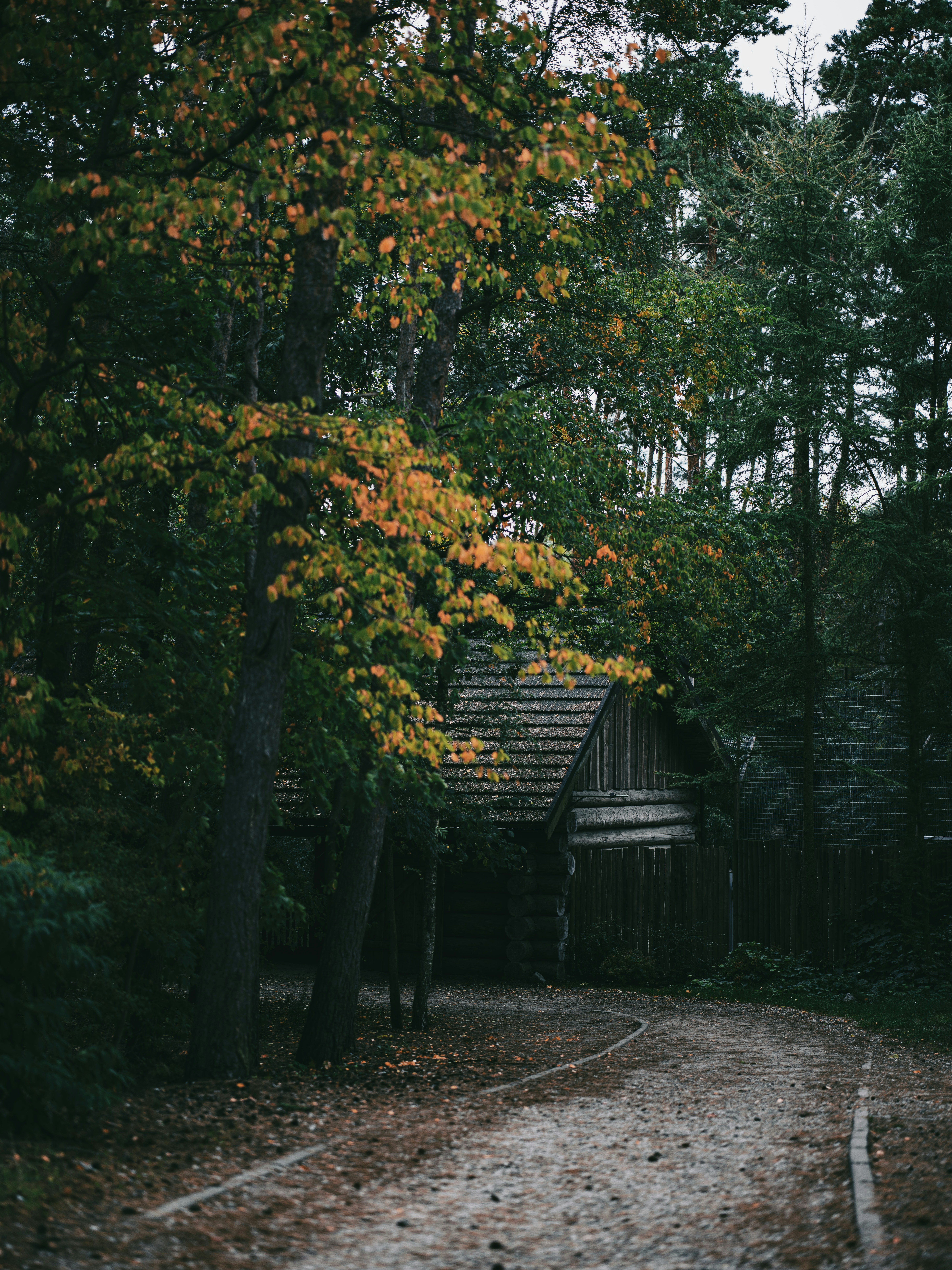 Photo by egorkomarov