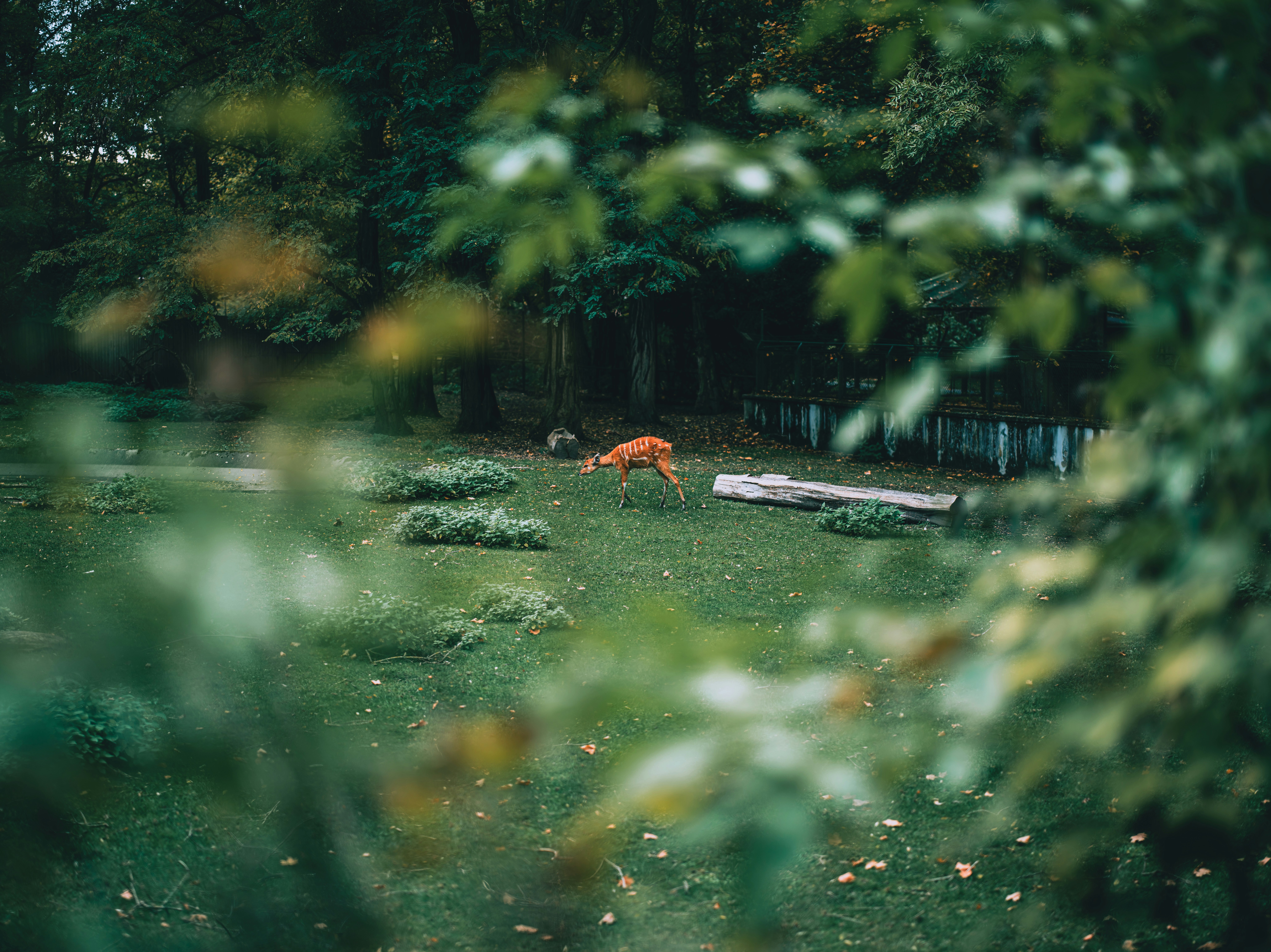 Photo by egorkomarov