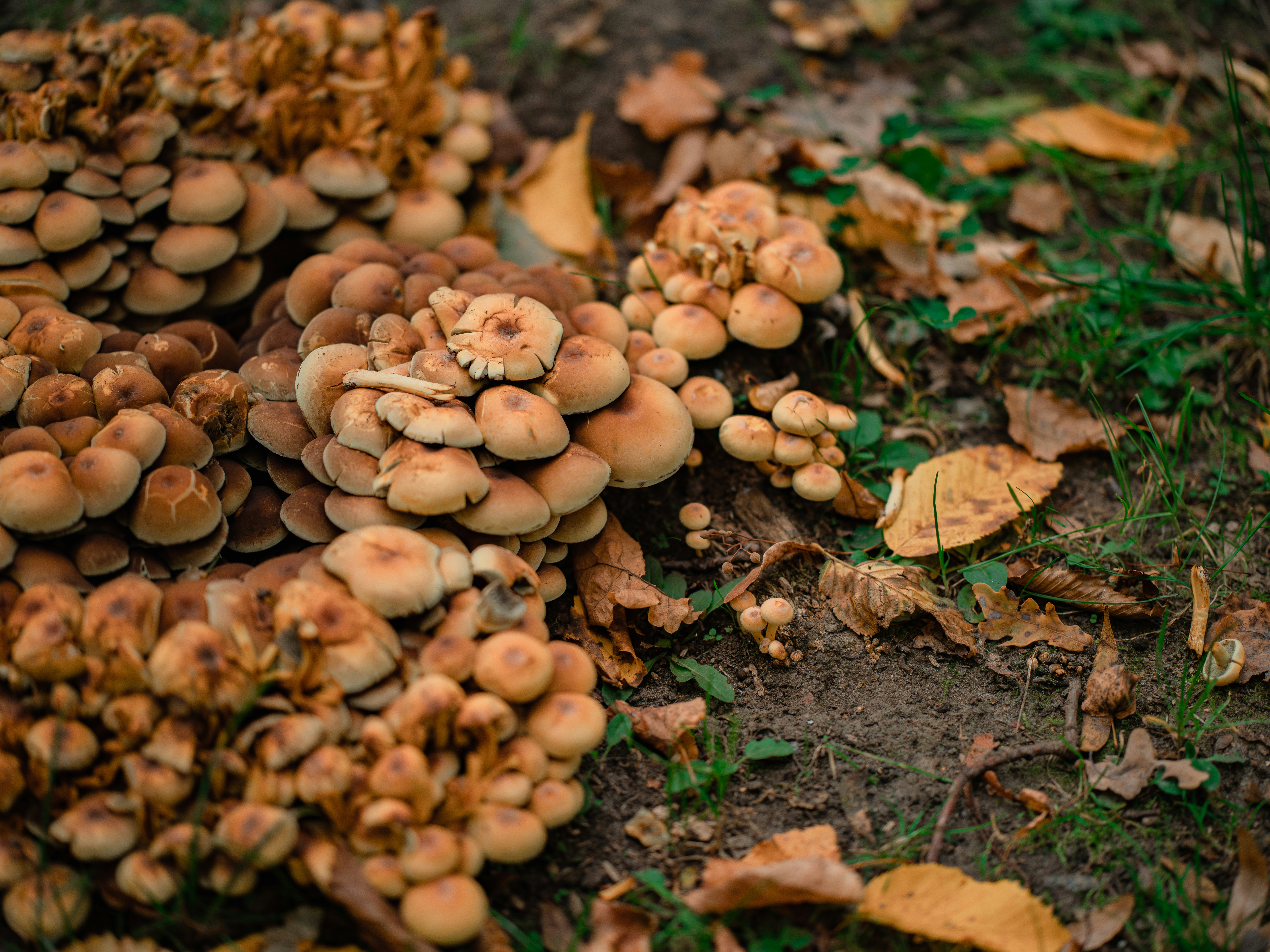 Photo by egorkomarov