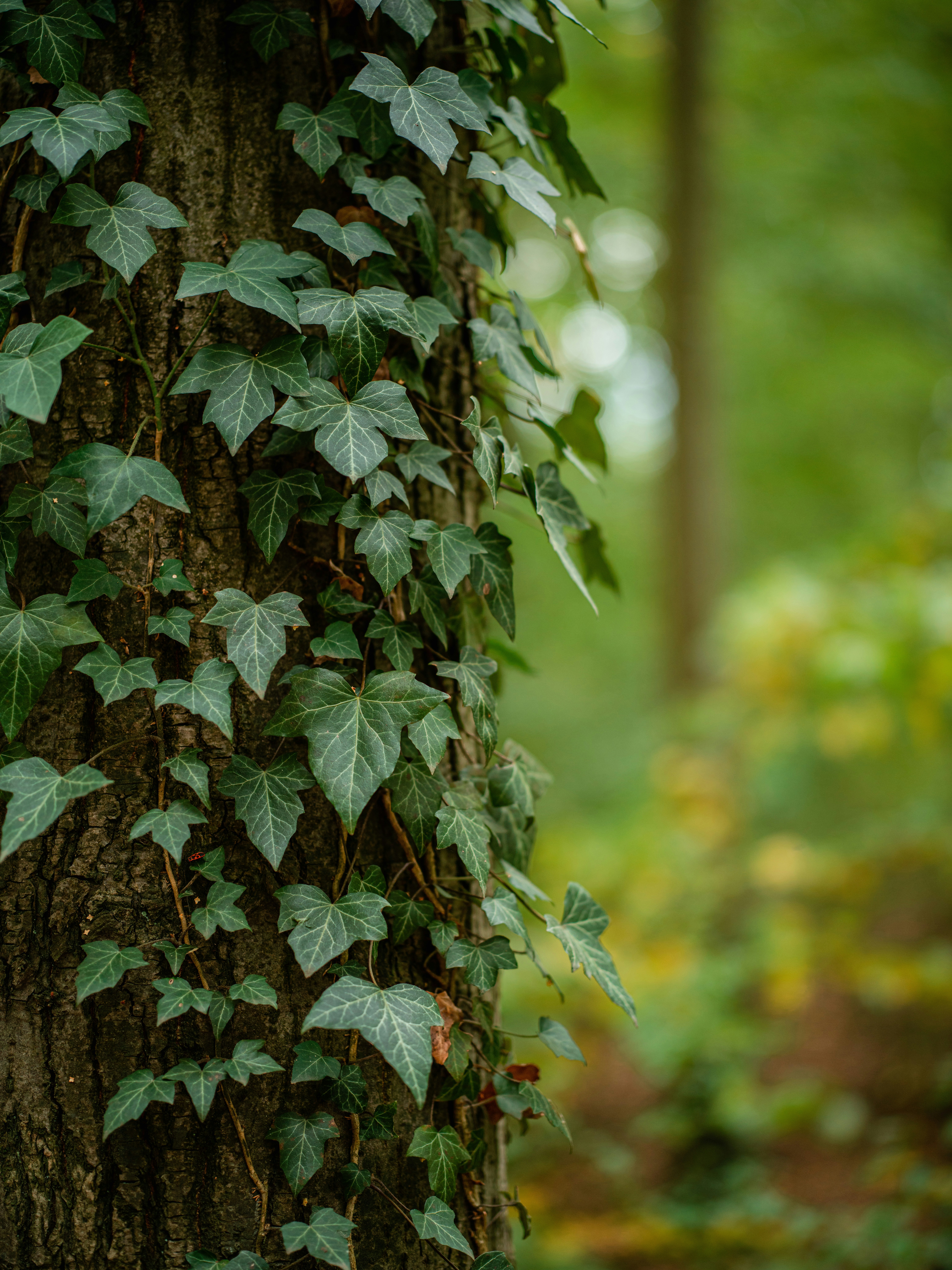 Photo by egorkomarov