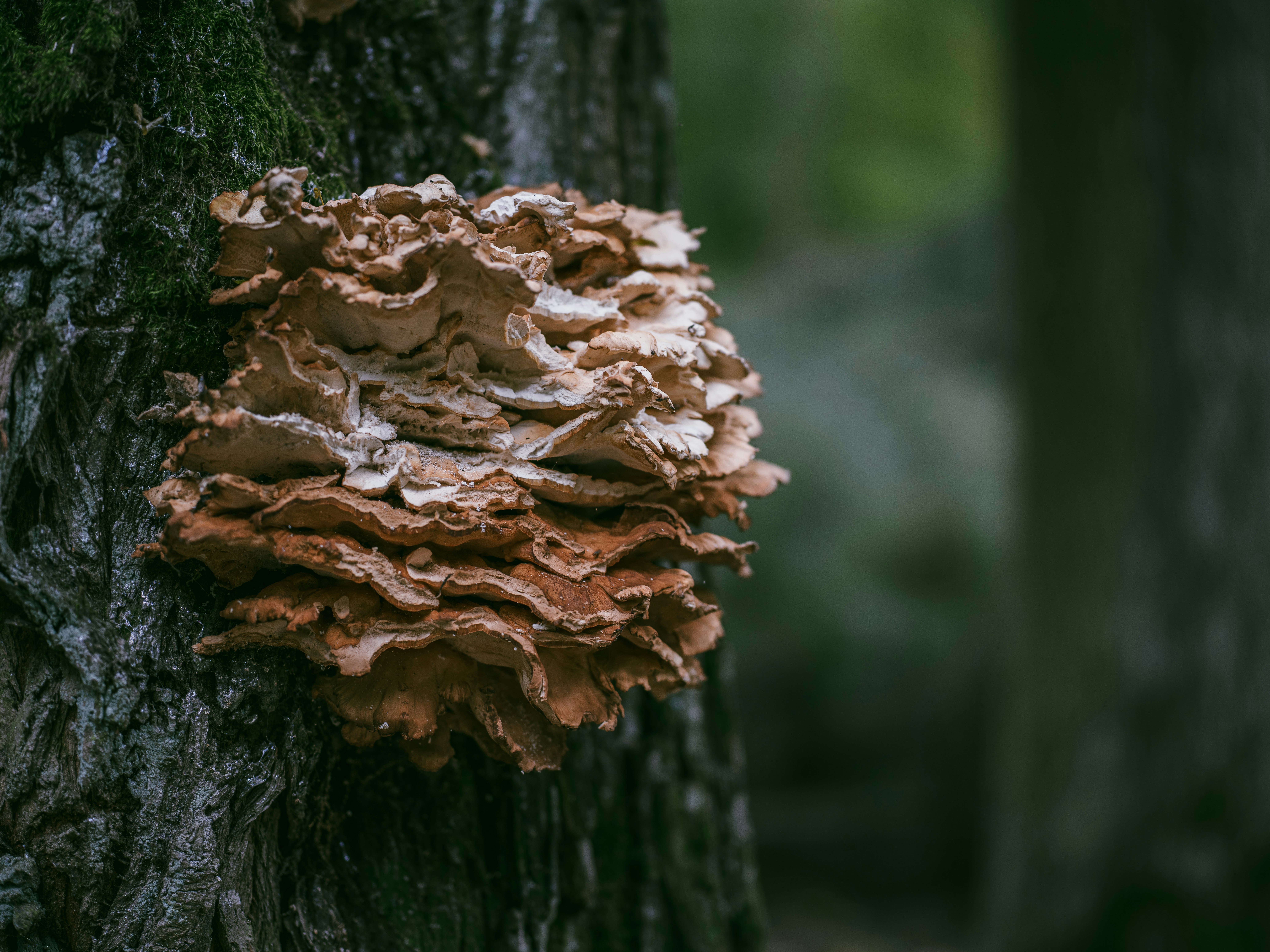 Photo by egorkomarov