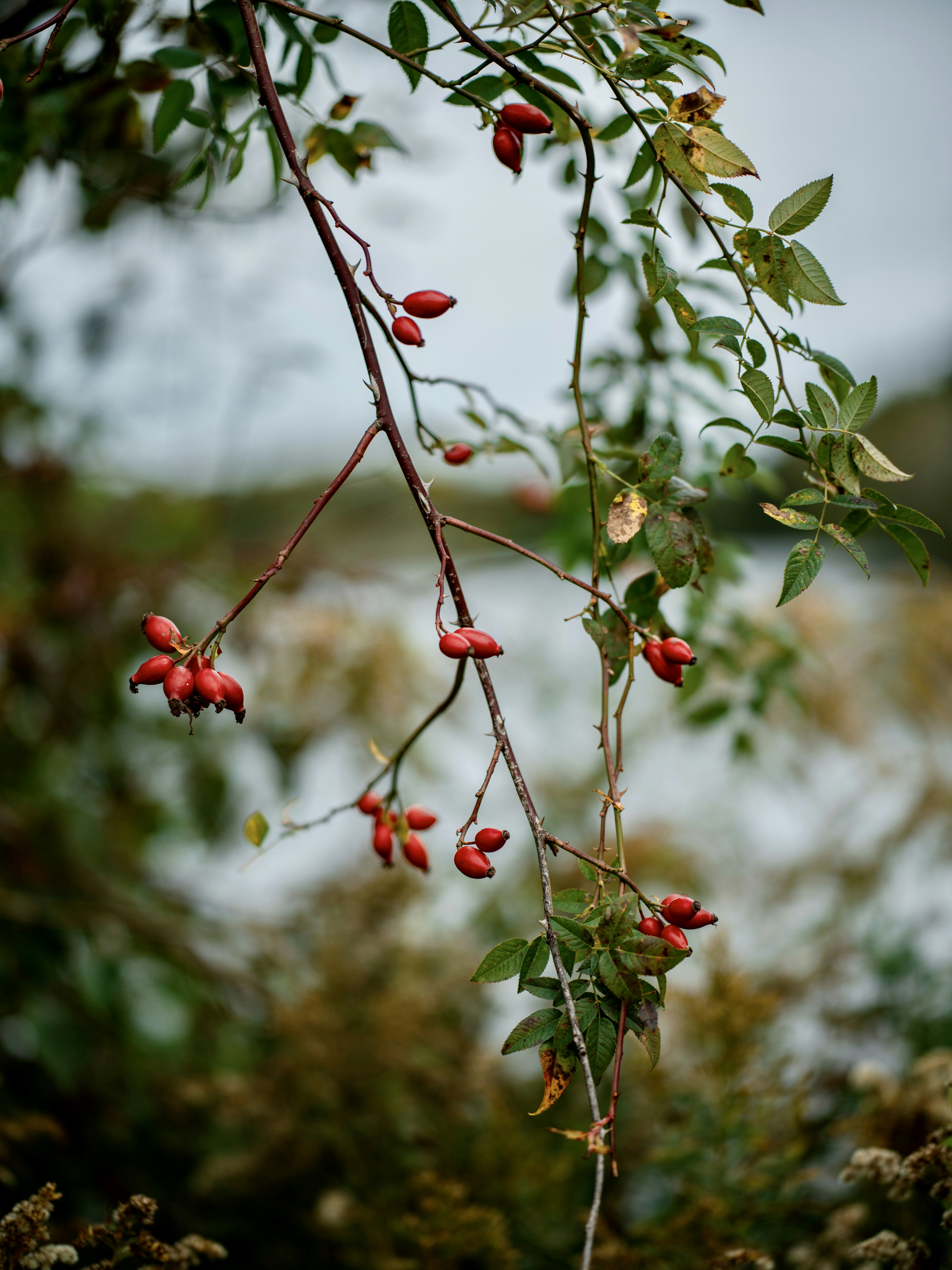 Photo by egorkomarov