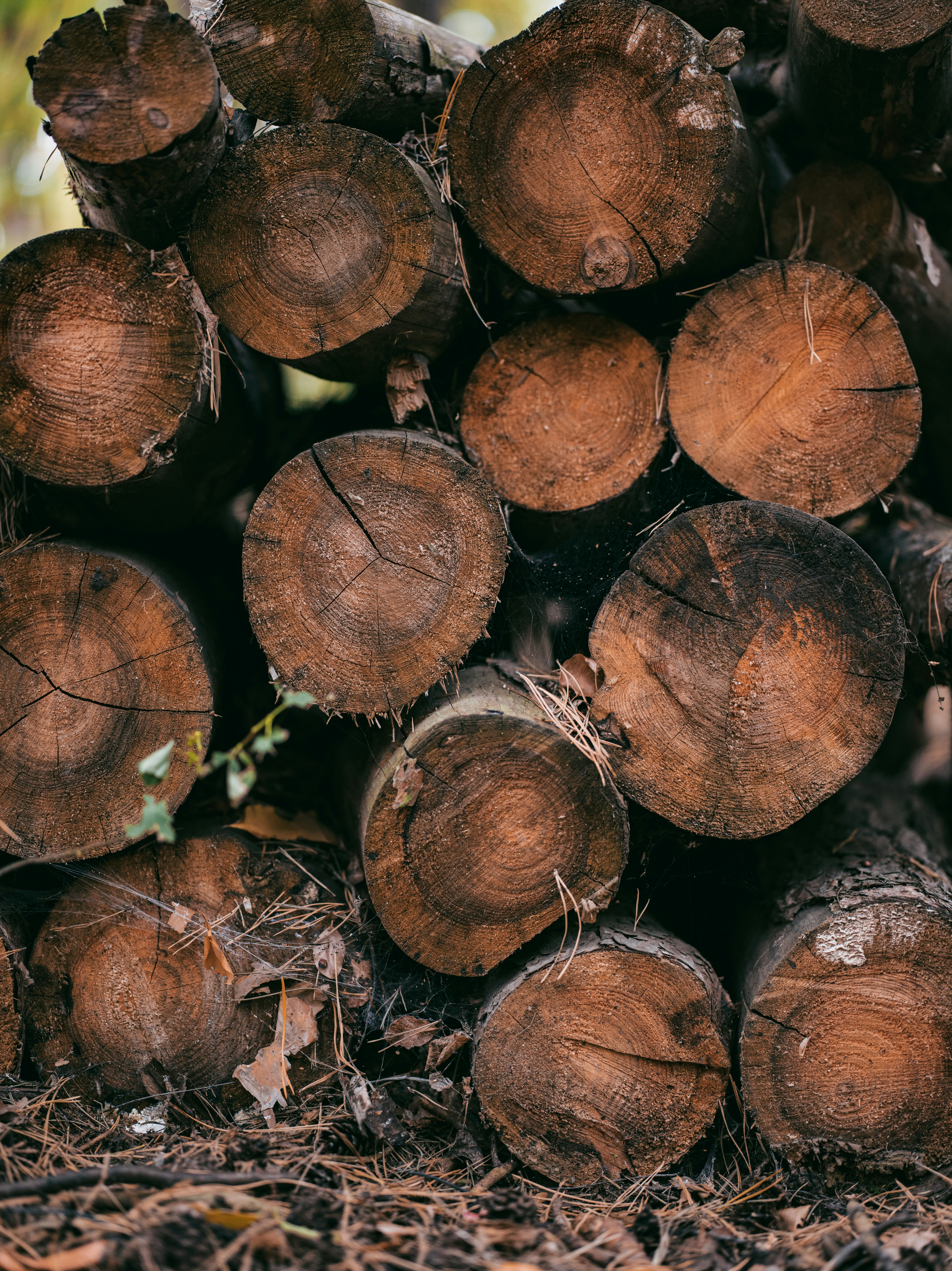 Photo by egorkomarov