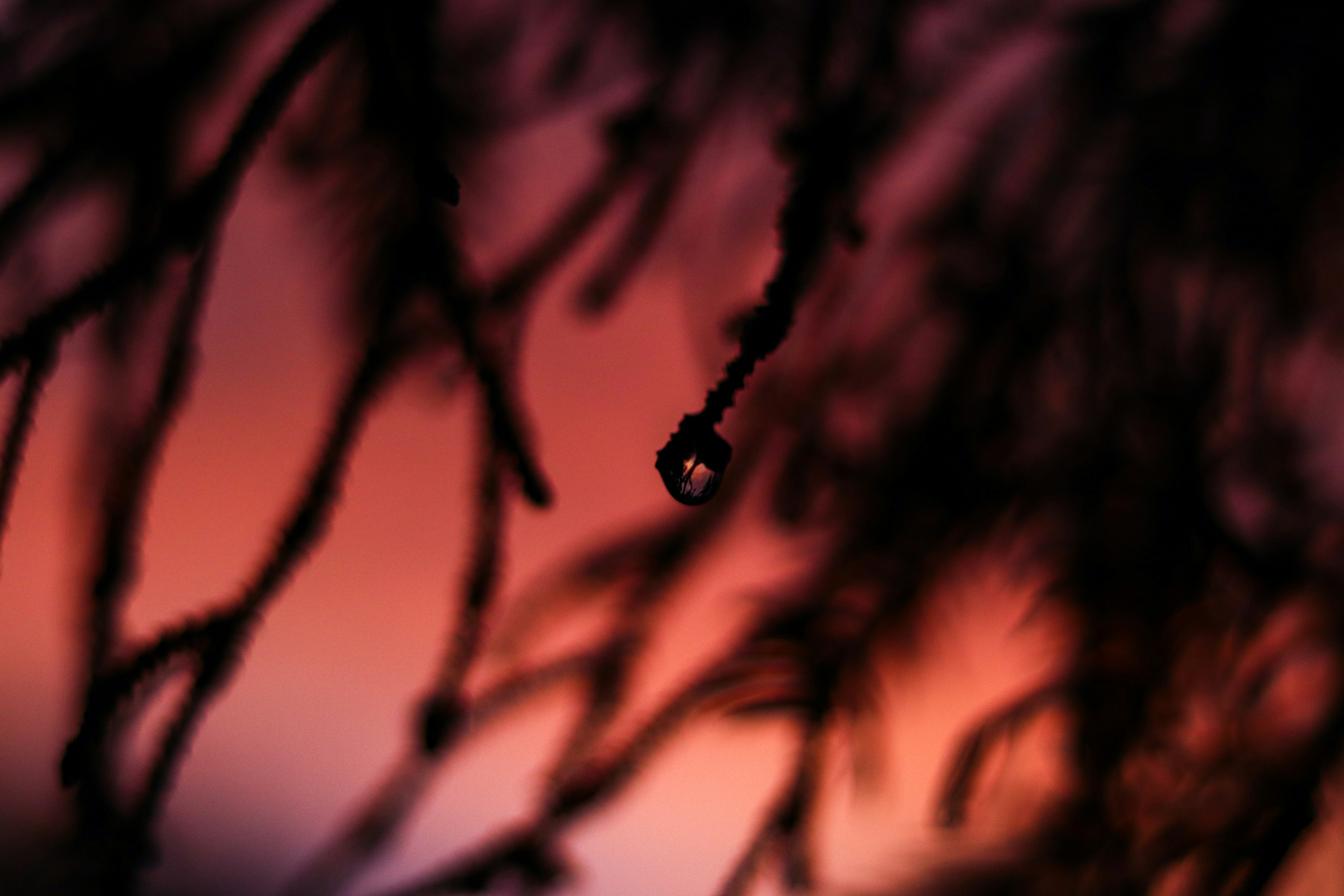 Photo by cuddlebunniestudioandphotography