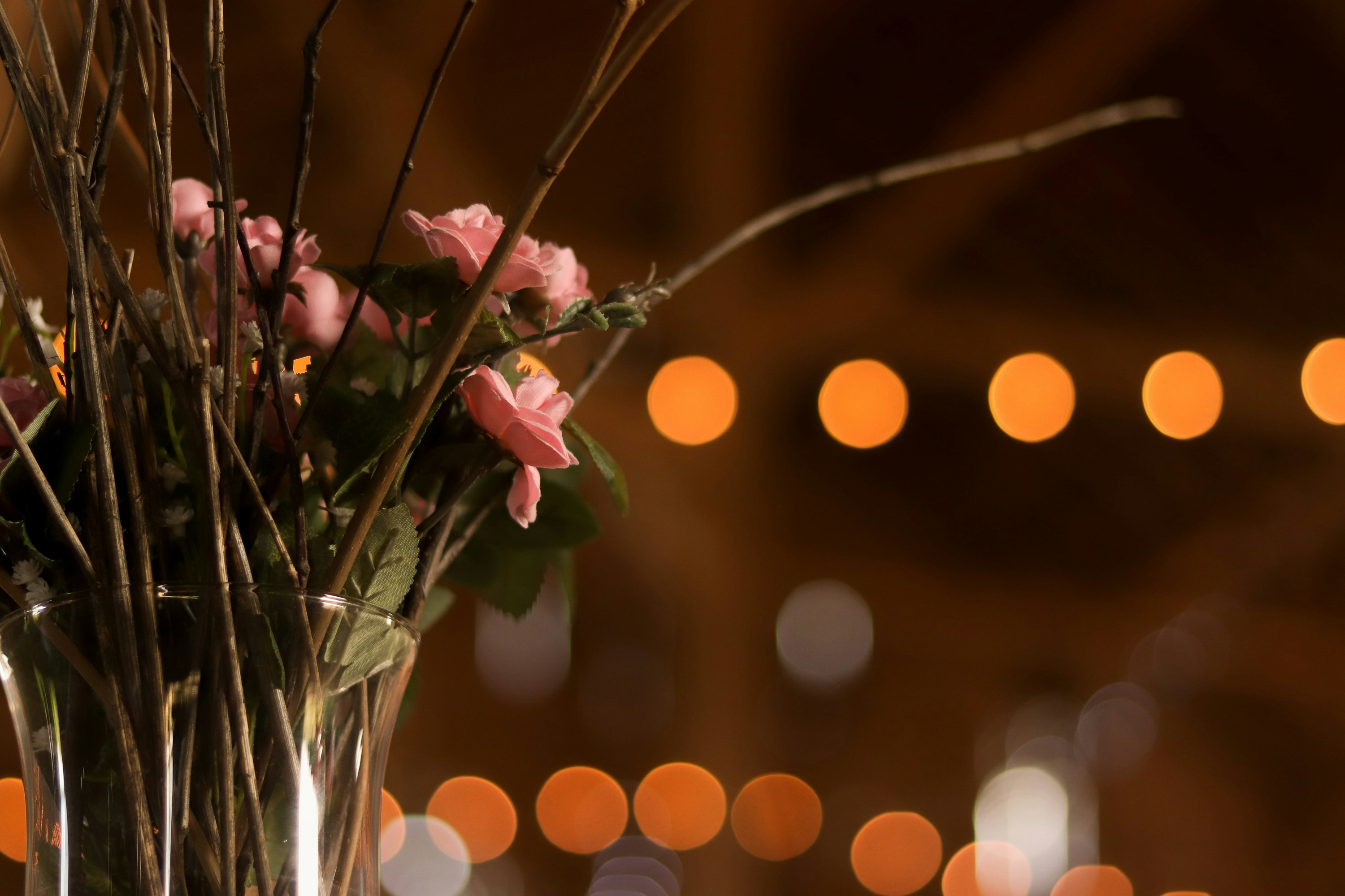 Photo by cuddlebunniestudioandphotography