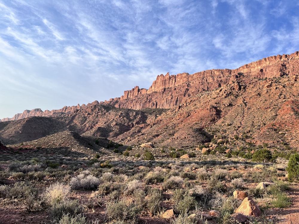 a rocky desert landscape
