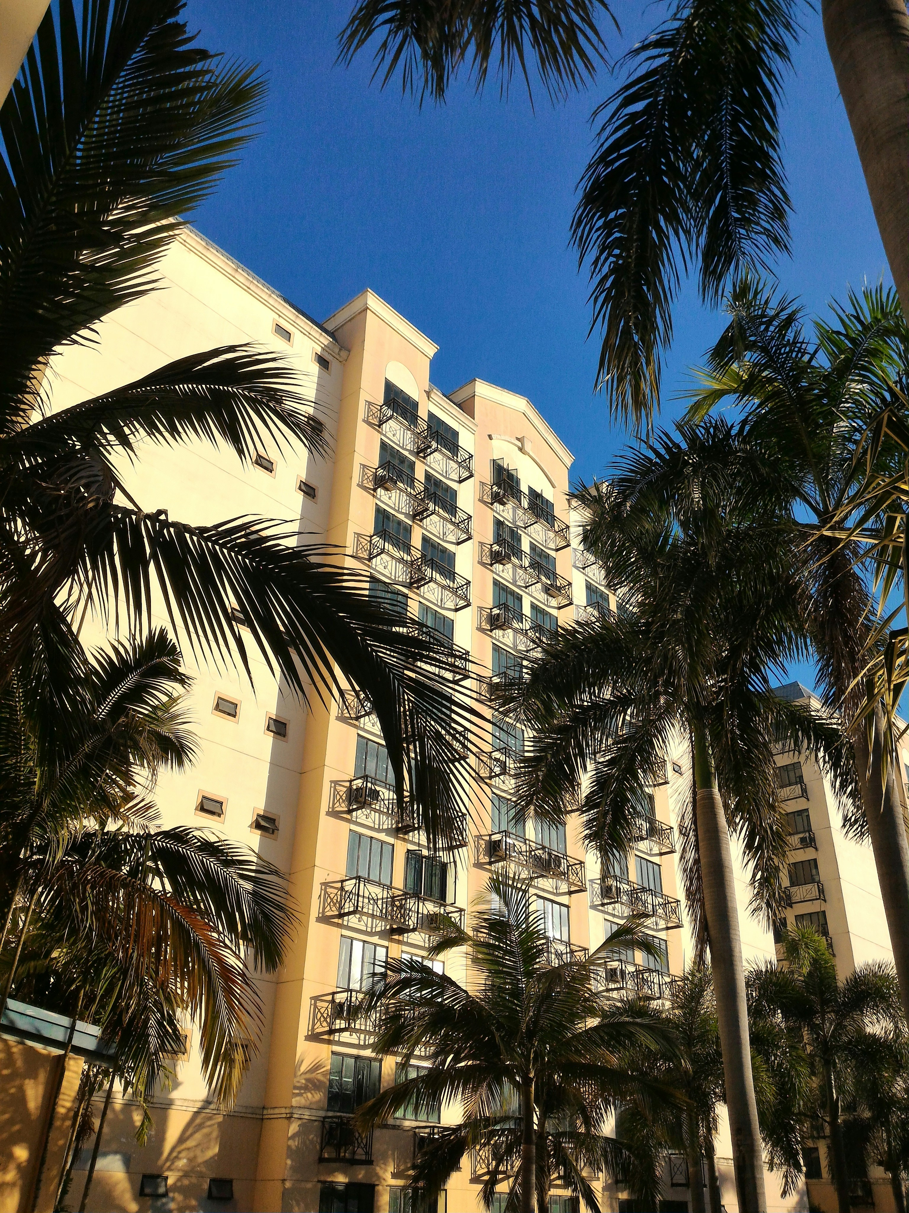 Photo by annacarmeme