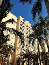 a tall building with palm trees