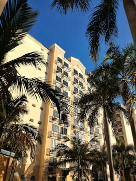 a tall building with palm trees