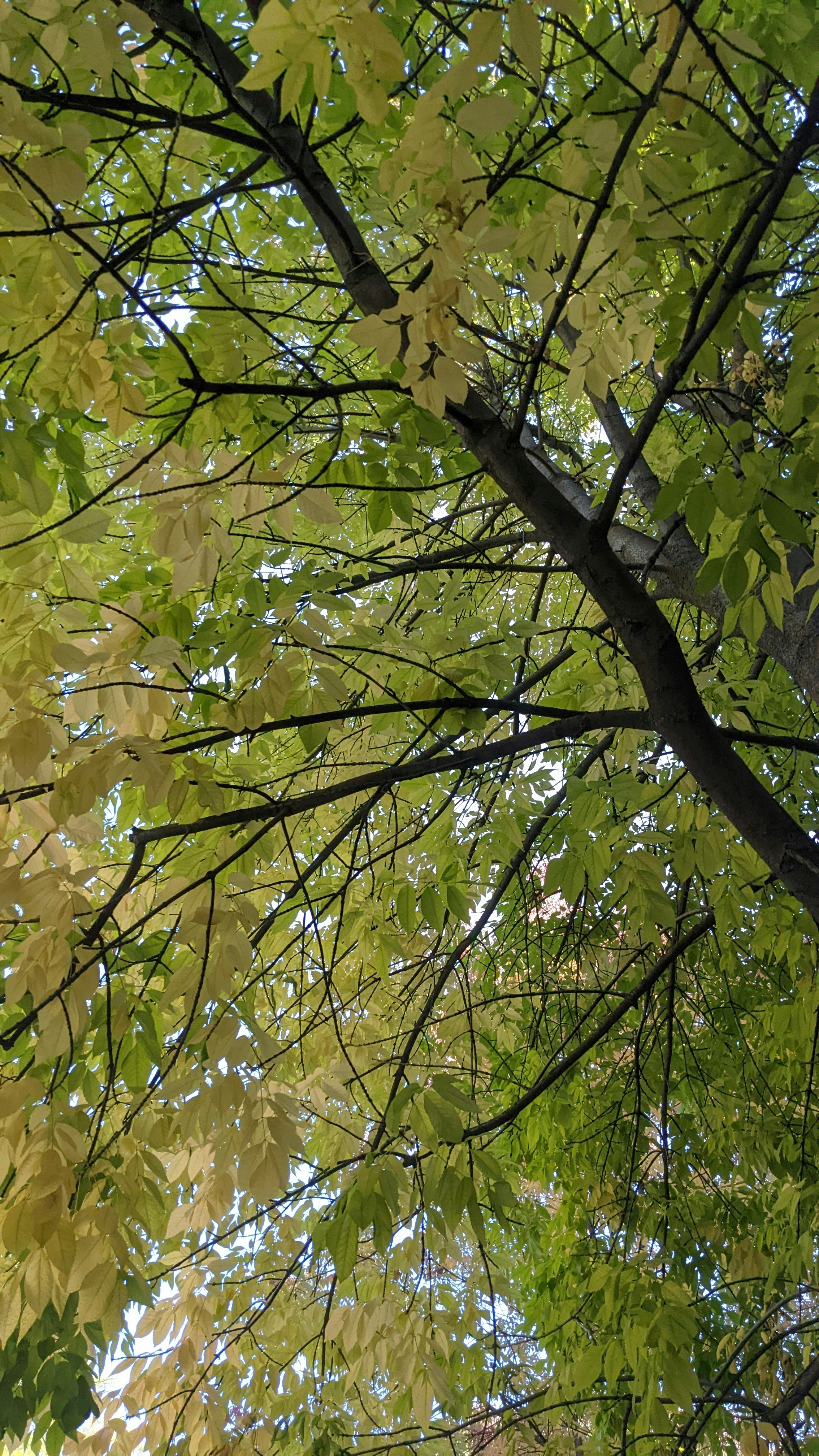 Photo by darkwolfie13