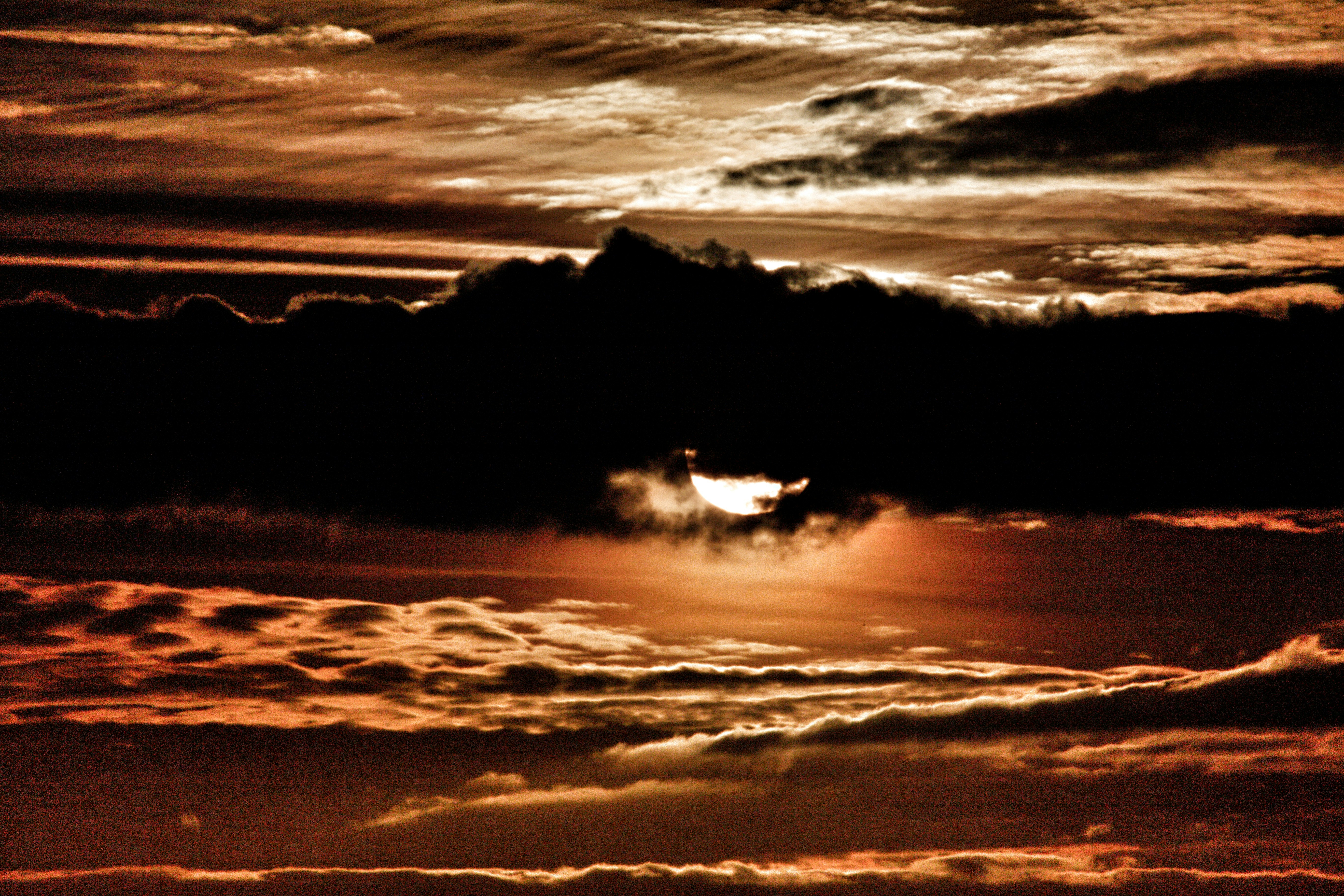 Featured image of post PageIndex