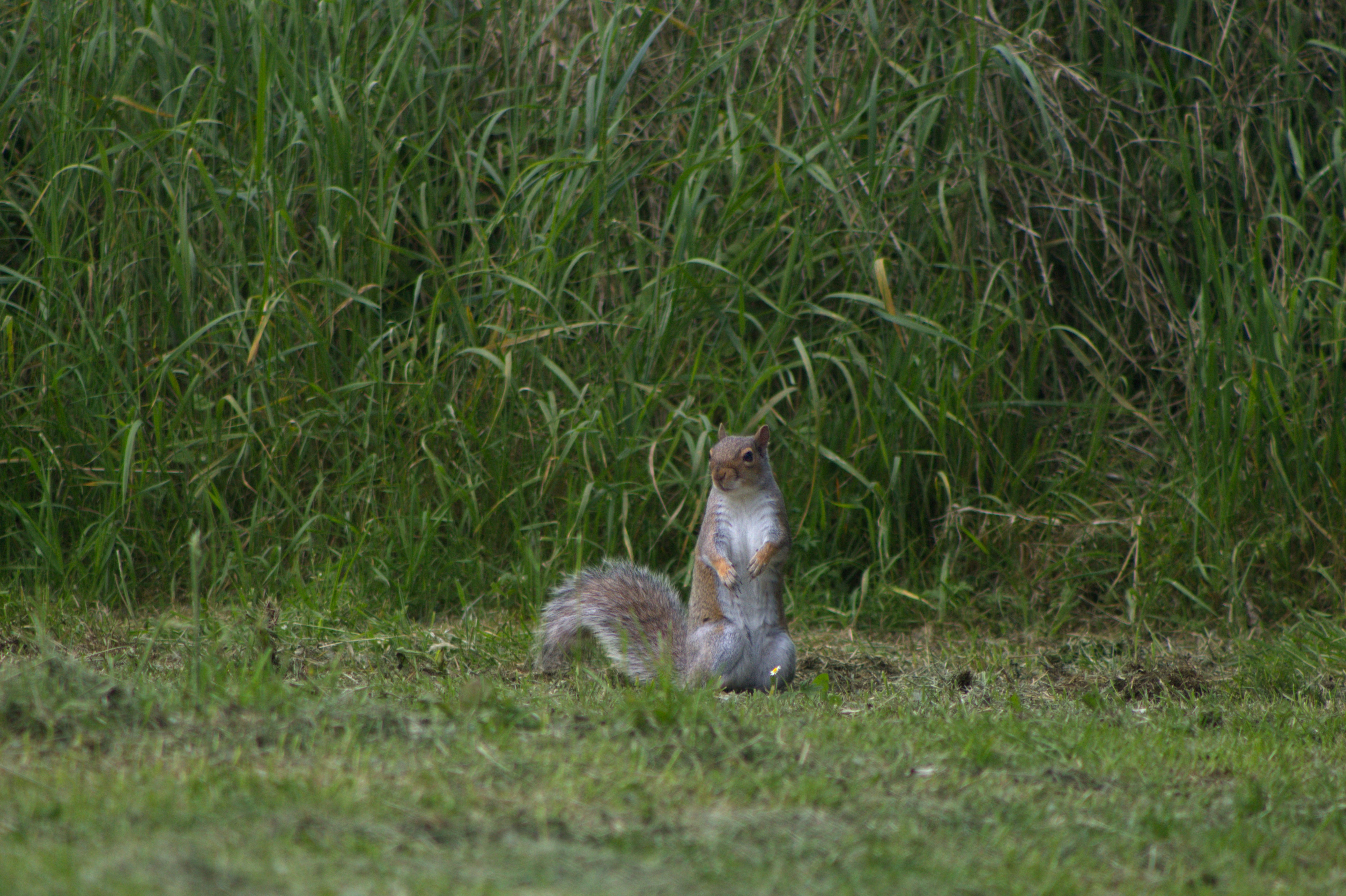 Photo by fidgetingferdie