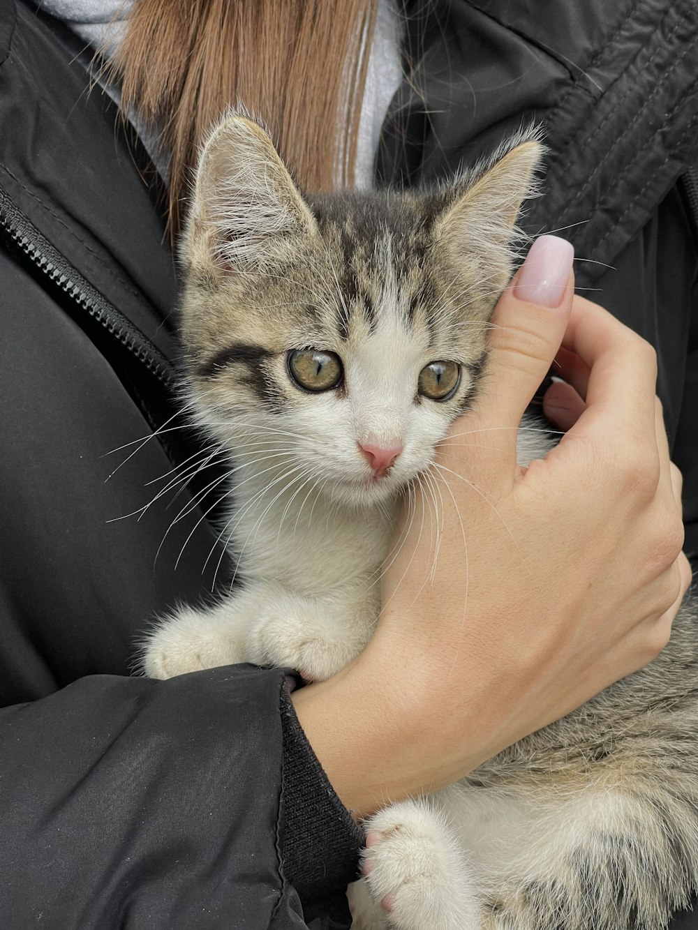 a person holding a cat