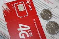 Close-up of a hand holding multiple SIM cards representing new and MNP connections.