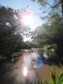 Sunlight filtering through trees over a calm river feeding the aqueduct.