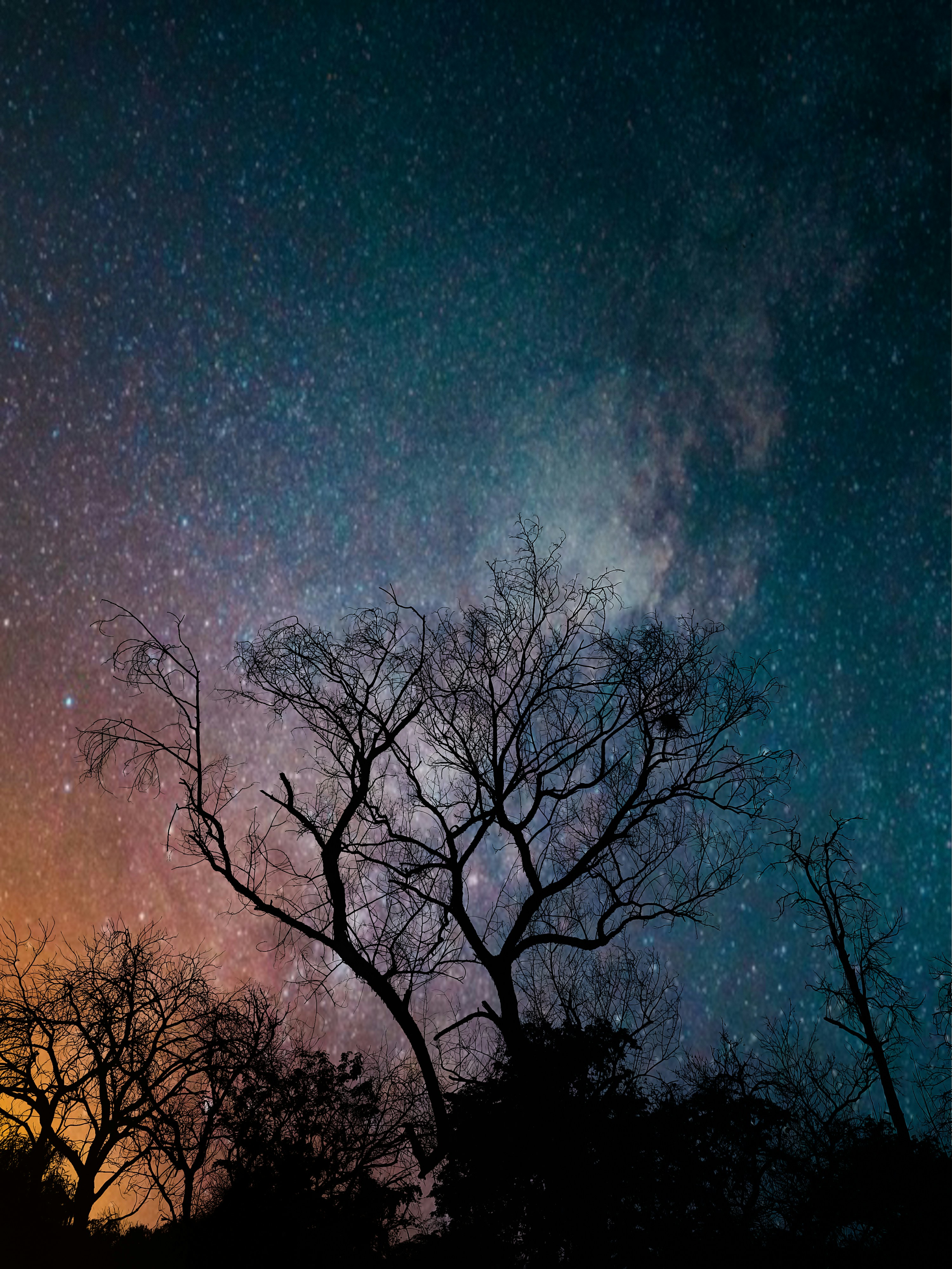 Photo by daniel_joshua_