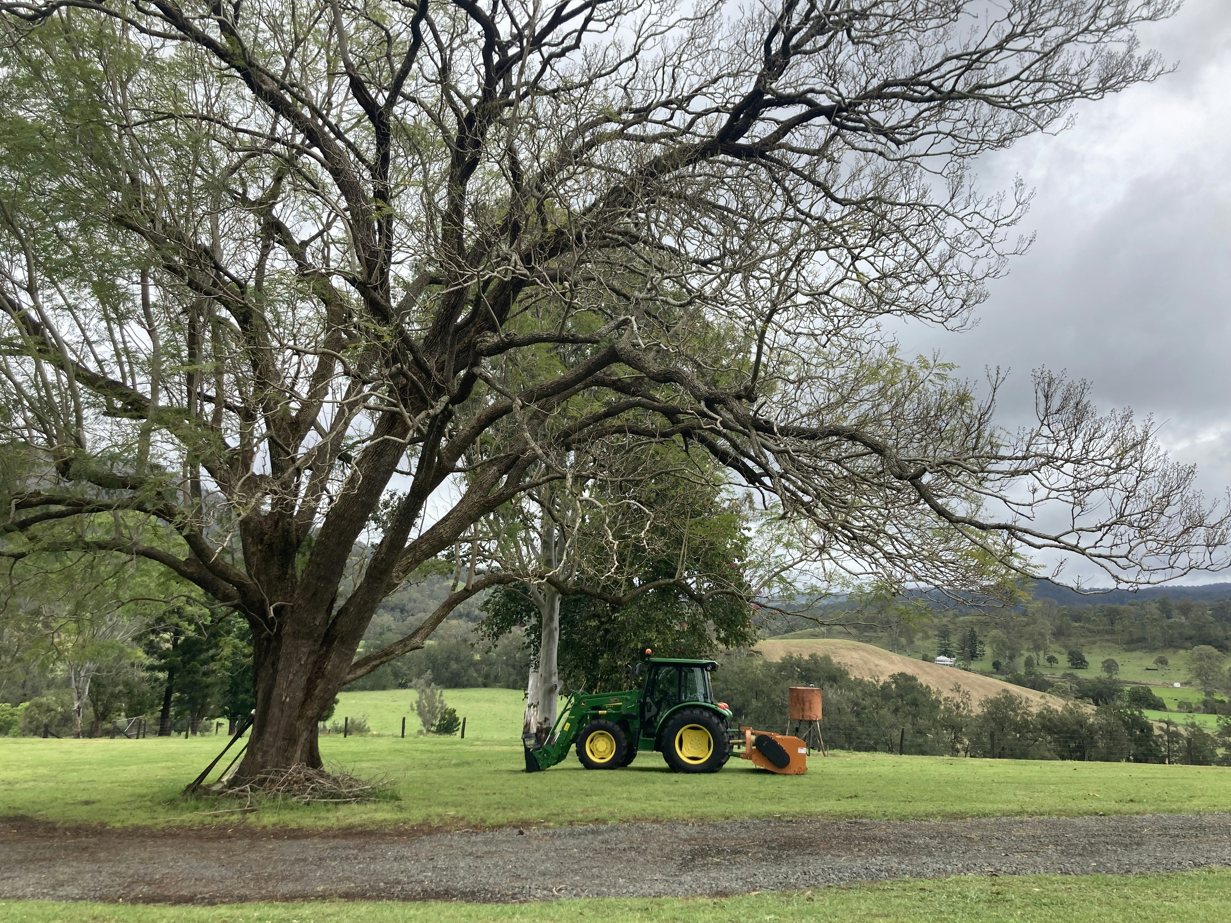 Kyogle, New South Wales
