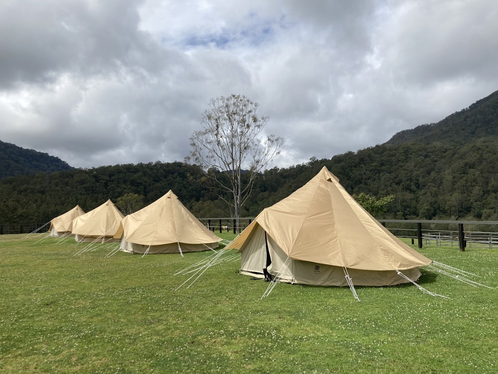 a group of tents in a grassy field