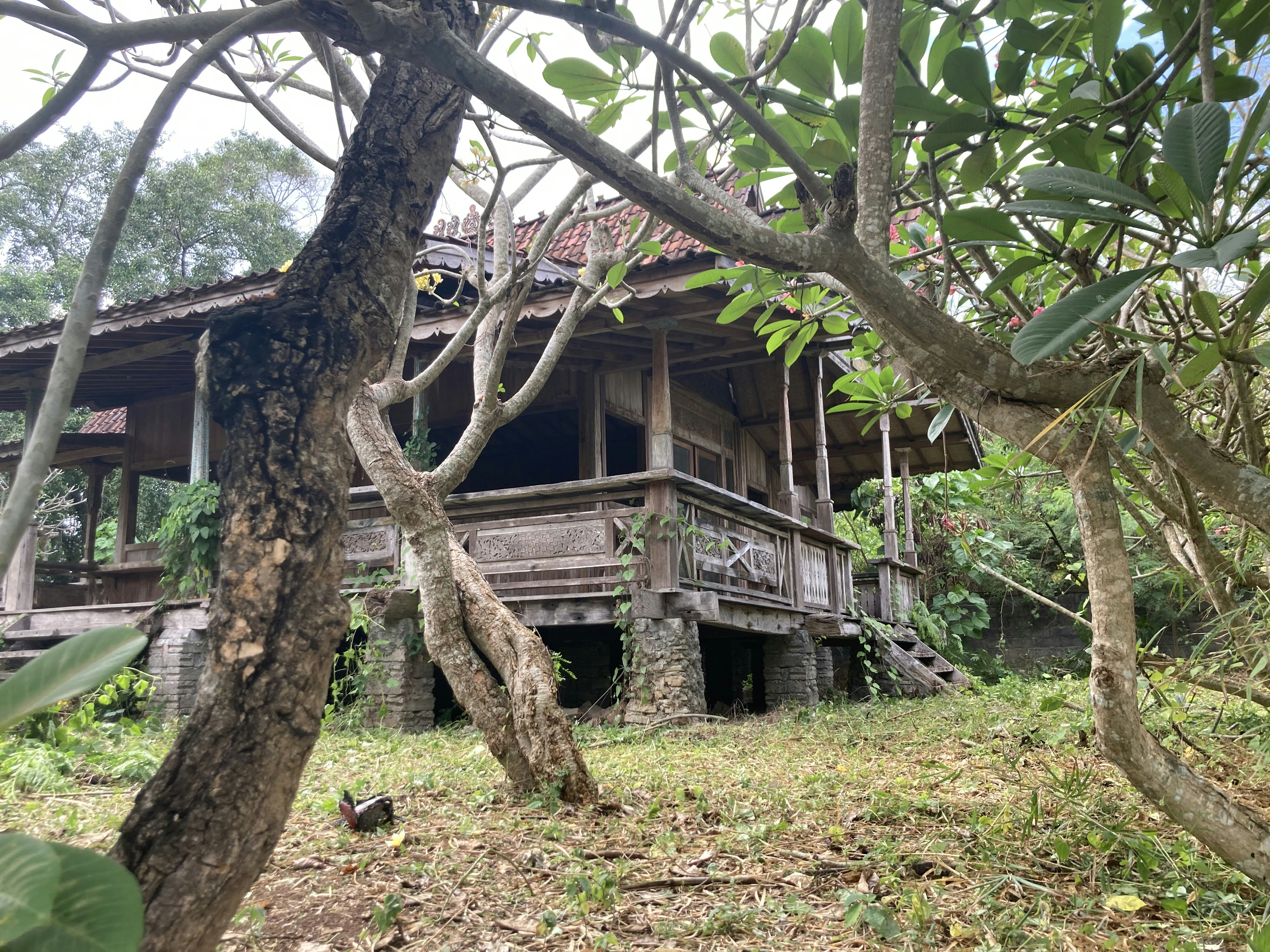 Photo by juliamitchell13