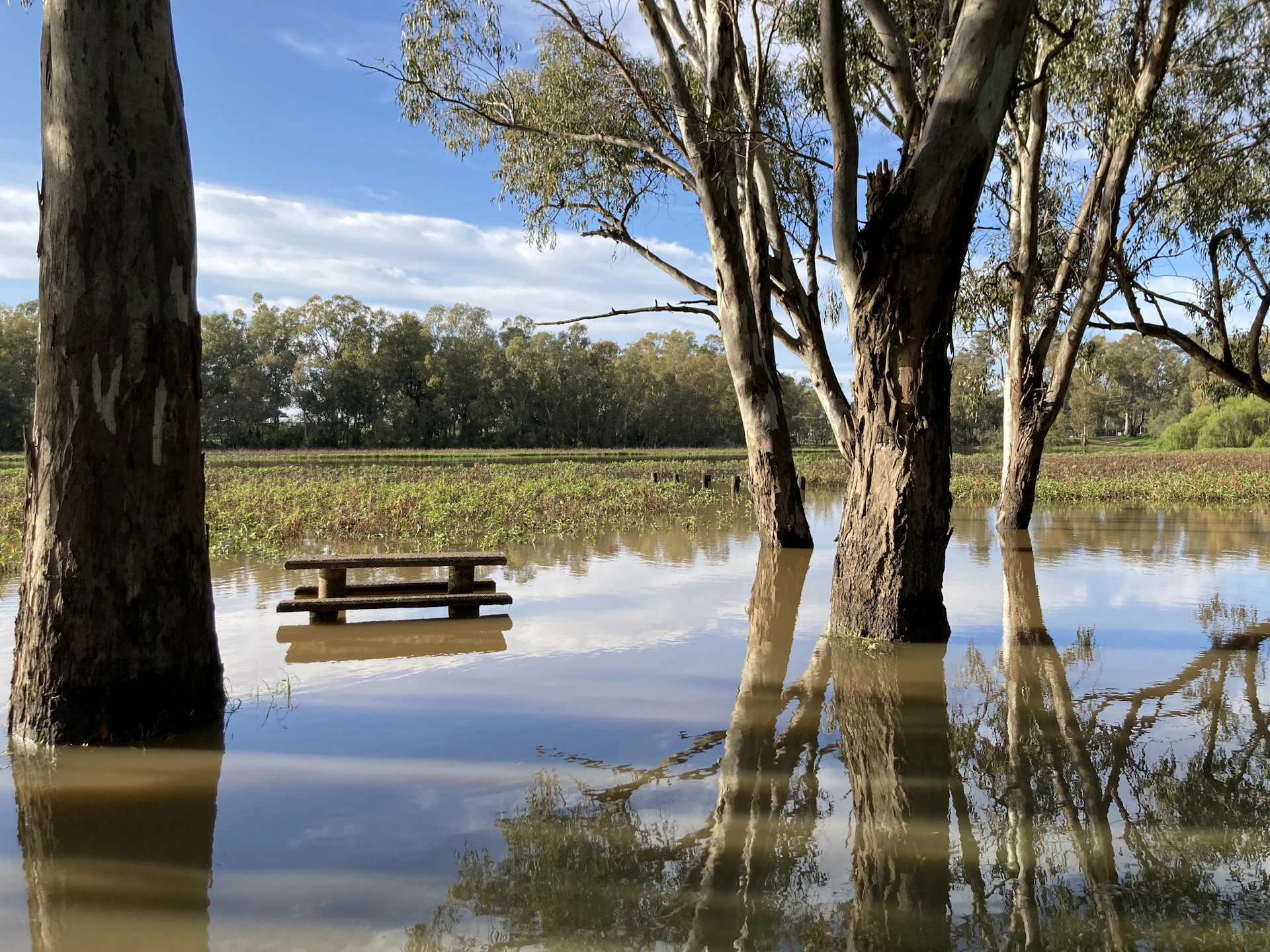a bench in a lake