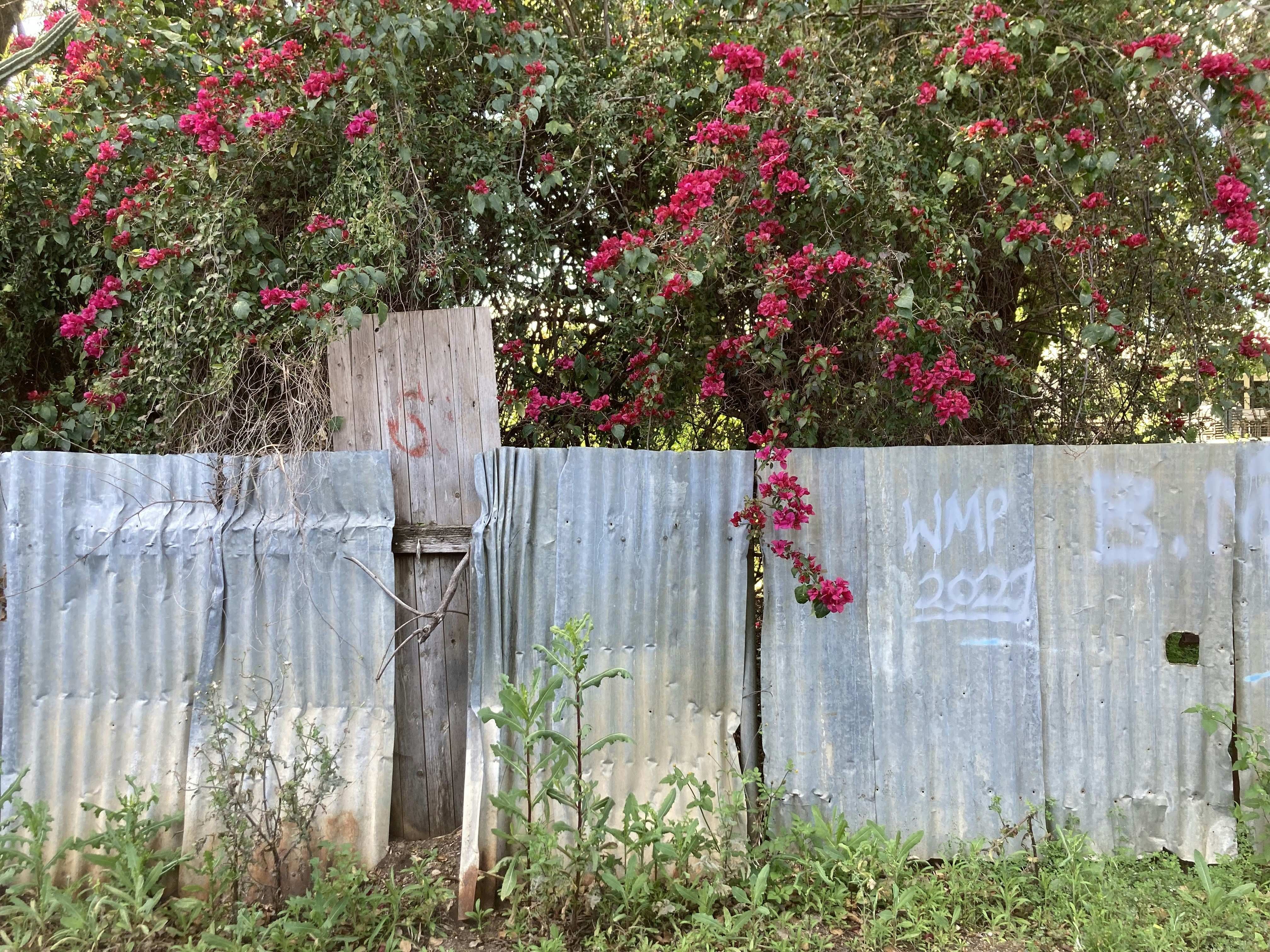 Photo by juliamitchell13