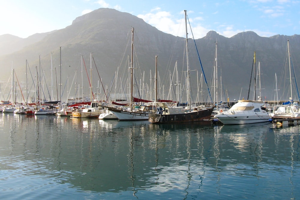 a group of sailboats in a harbor