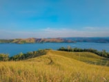 A serene landscape with gentle hills and a calm lake.