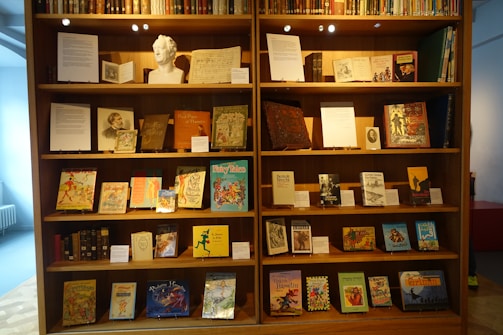 A large wooden bookshelf filled with a variety of vintage books and displayed items. The shelves are well-lit, showcasing numerous colorful book covers and some framed pages. A white sculpted bust is placed prominently among the books, adding a classical touch. Informational placards are neatly arranged alongside the books, providing context or descriptions.