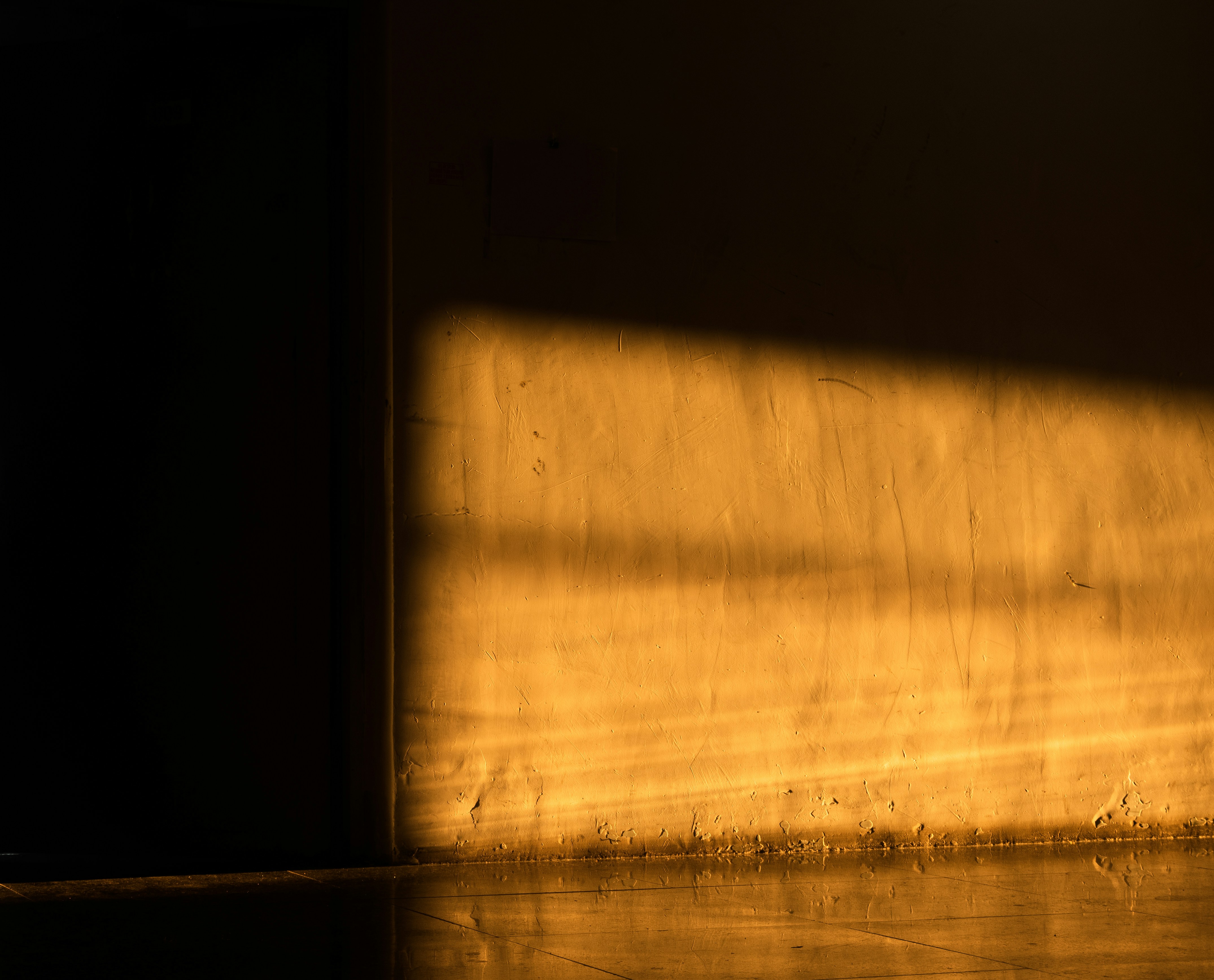 Photo by sunriseking