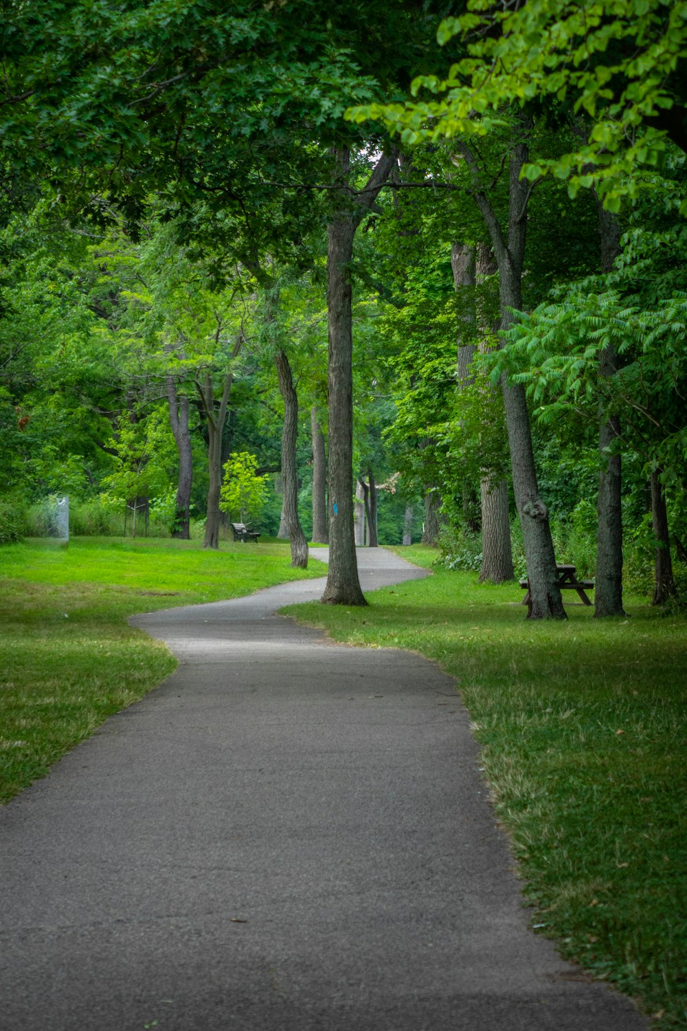 a path through a park