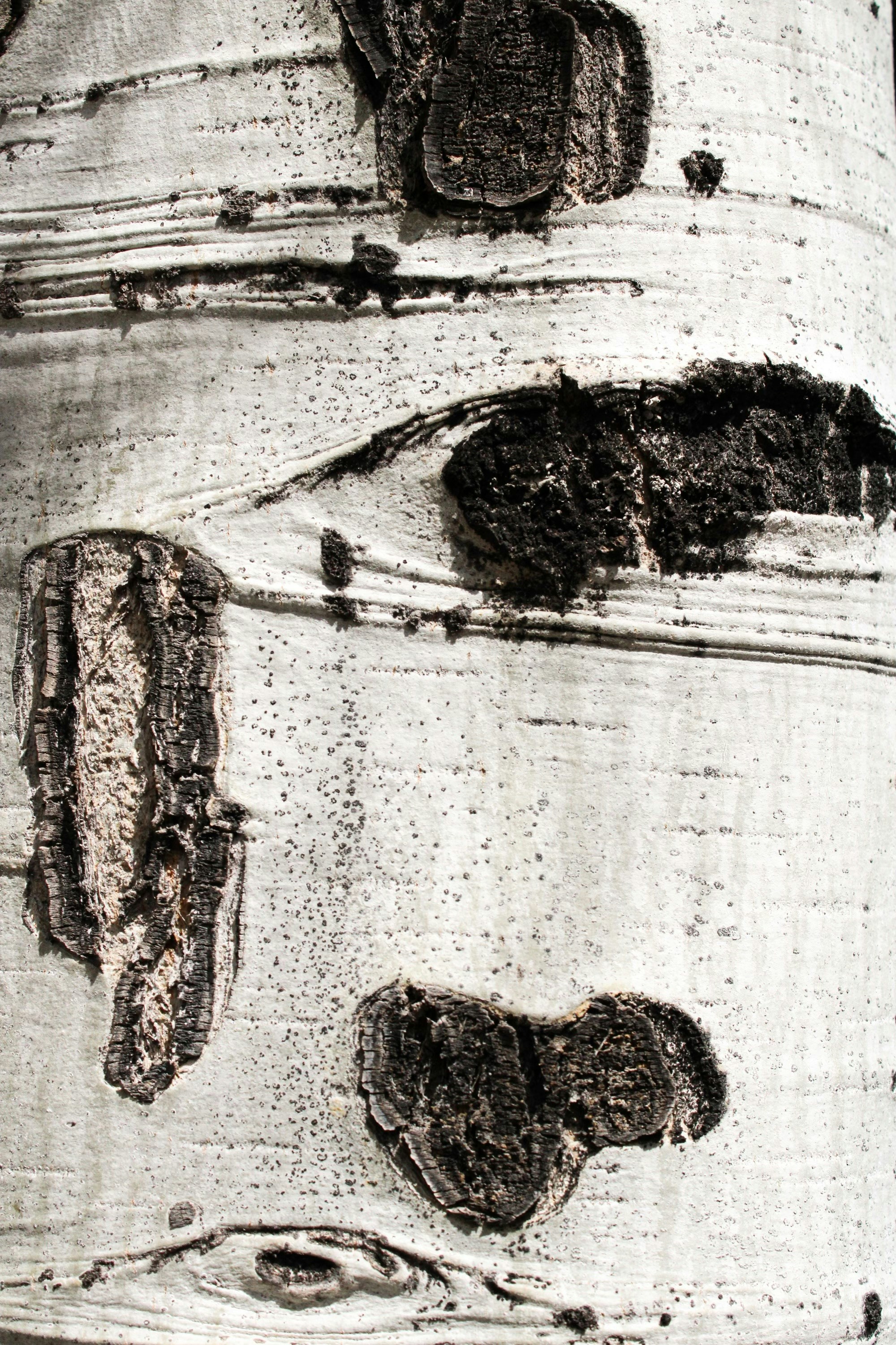 a black and white photo of a person in a trench