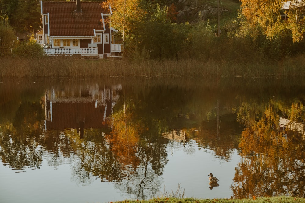 Ein Haus am See