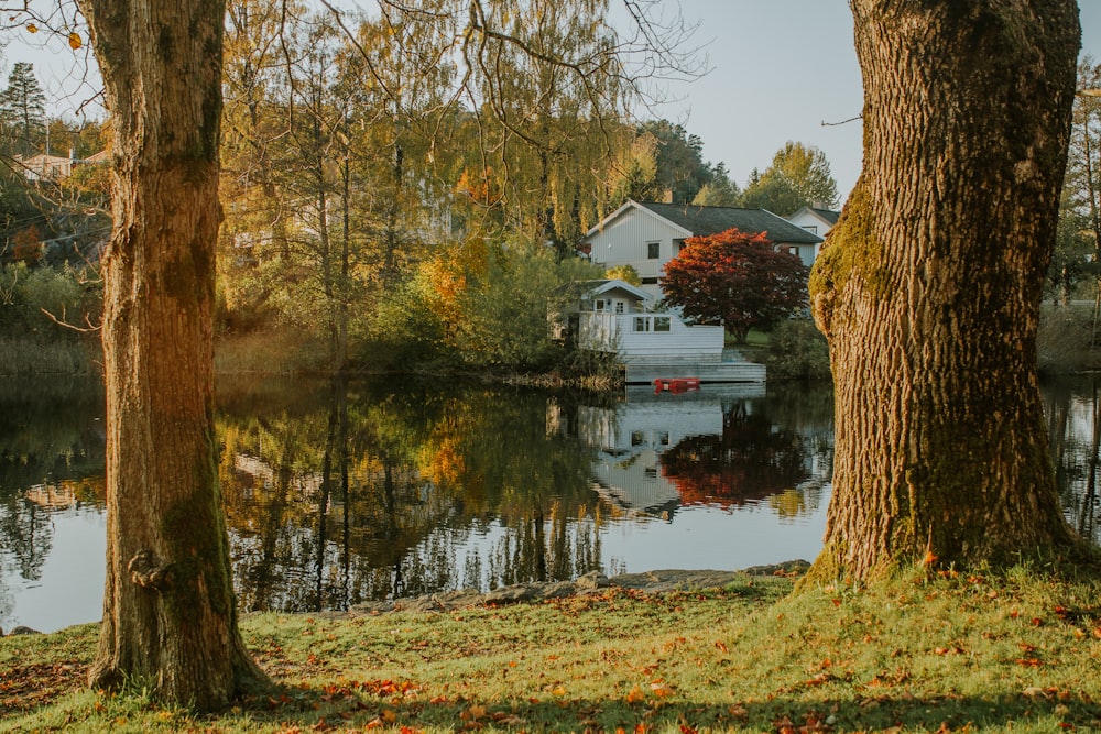 a house on a lake