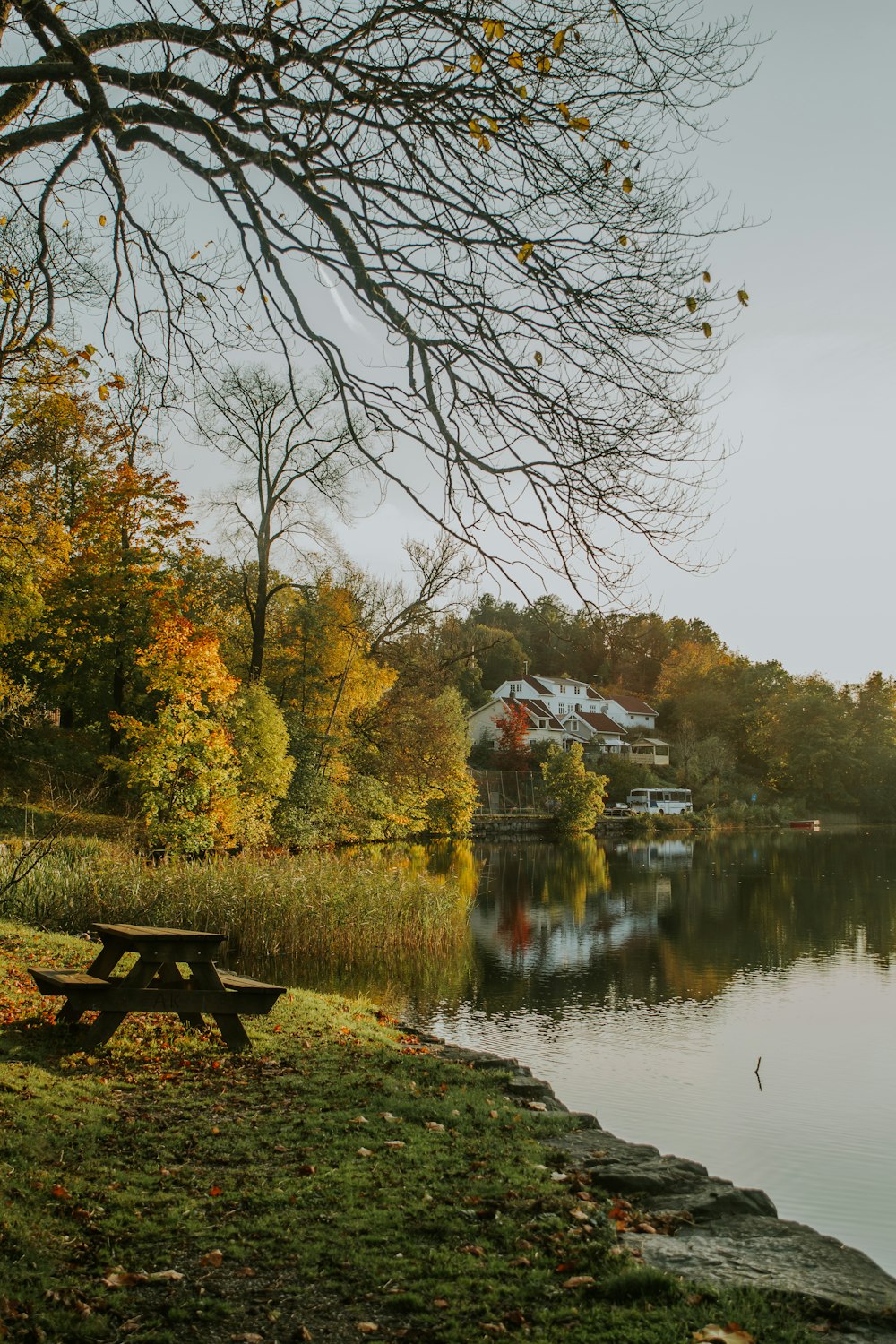 a bench next to a river