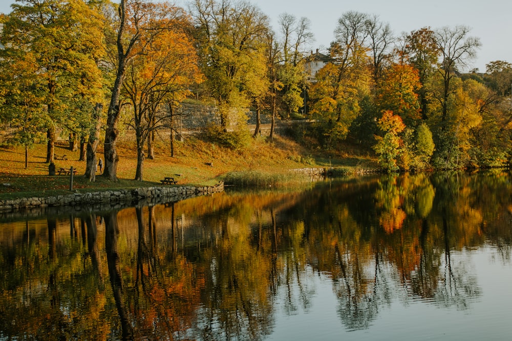 a body of water with trees around it