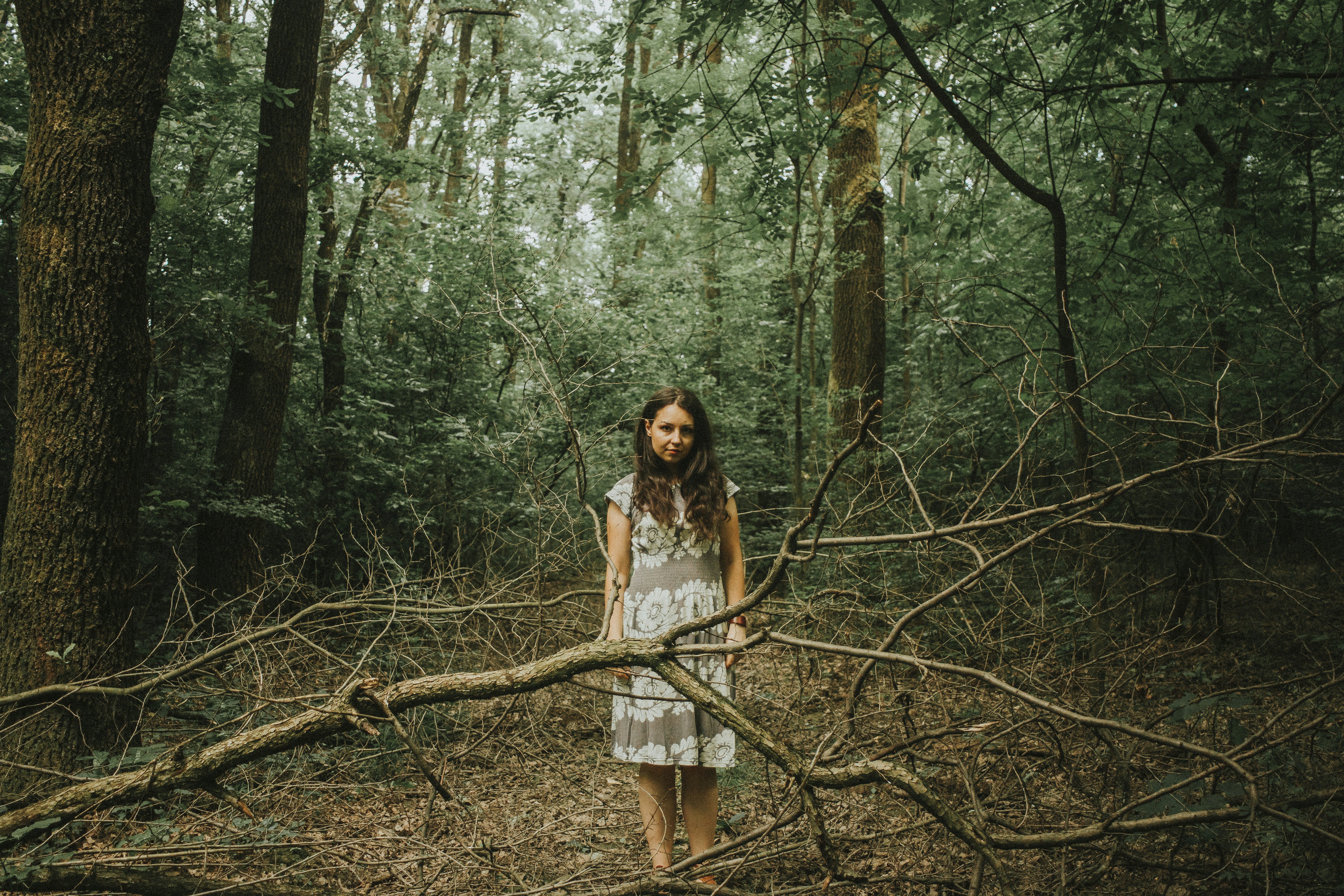 A girl with long brown hair wearing a pale floral dress stands amid a tangle of branches in a forest.
