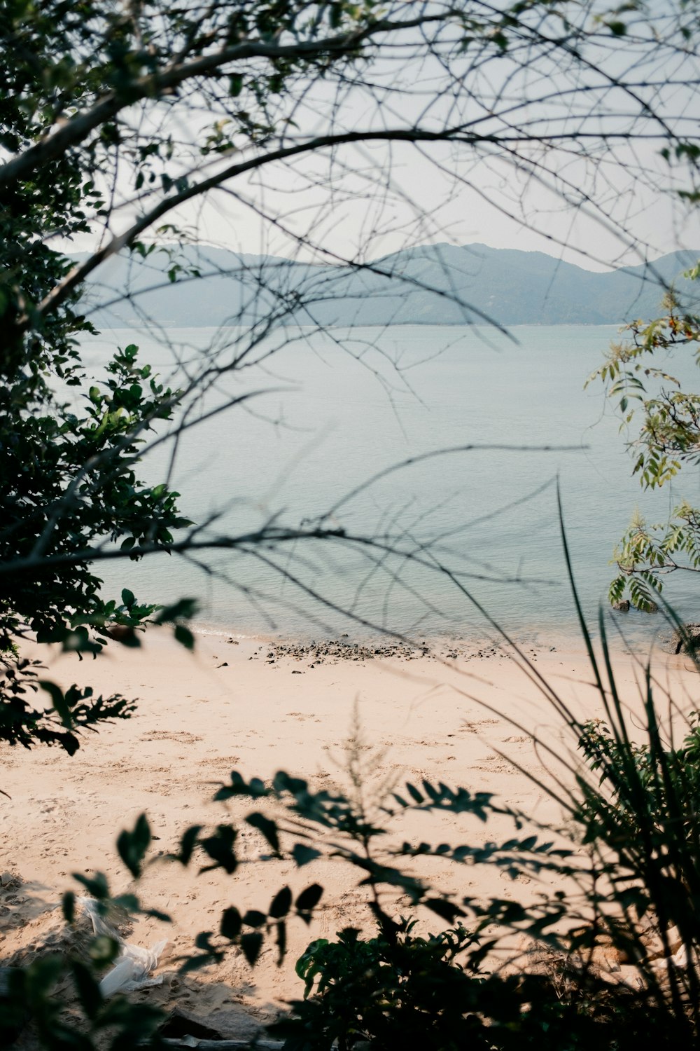 a view of a lake and some trees