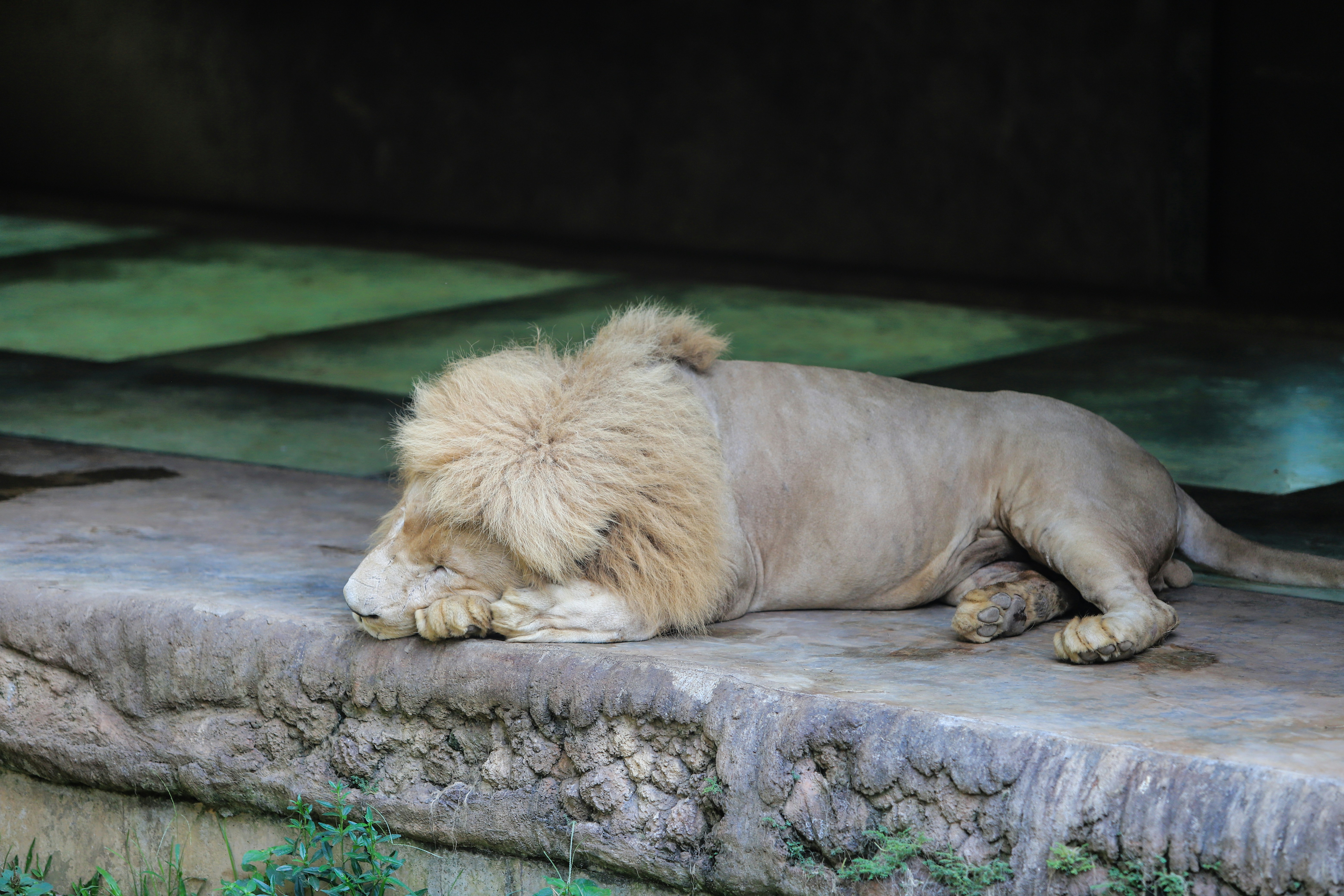 Photo by aldrinrachmanpradana