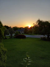 A calm suburban house with a well-kept garden on a sunny day.