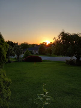 A warm, inviting suburban house with a lush green front lawn at sunset.