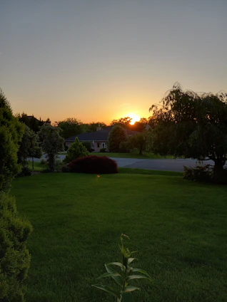 A cozy single-family home with a manicured lawn at sunset.
