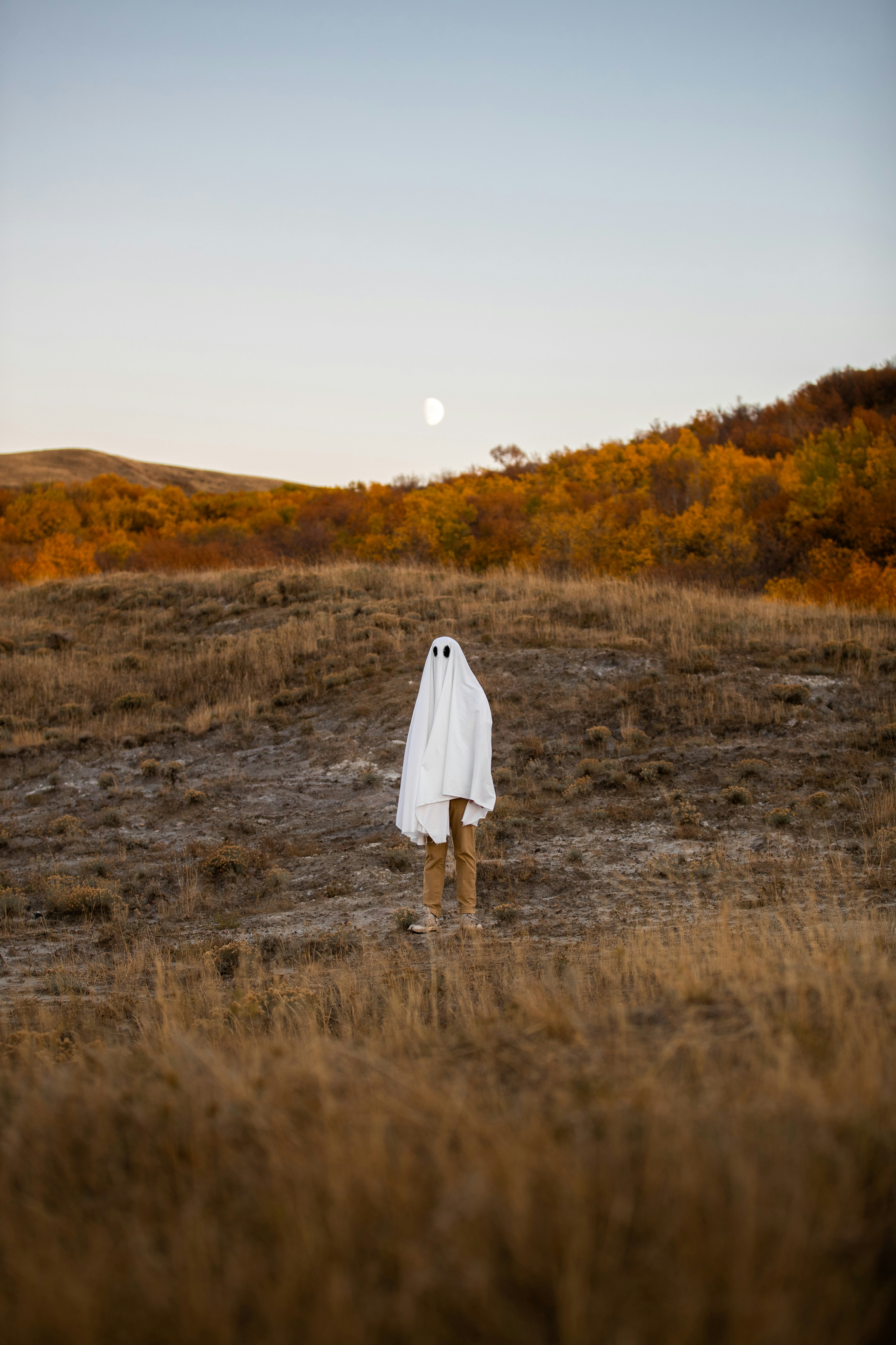 photo-1665028513183-040a7226ce3e?ixid=M3wxMjA3fDB8MXxzZWFyY2h8NDh8fHRpa3RvayUyMGFkc3xlbnwwfHx8fDE3Mzc2MzI4NDF8MA%5Cu0026ixlib=rb-4.0.3